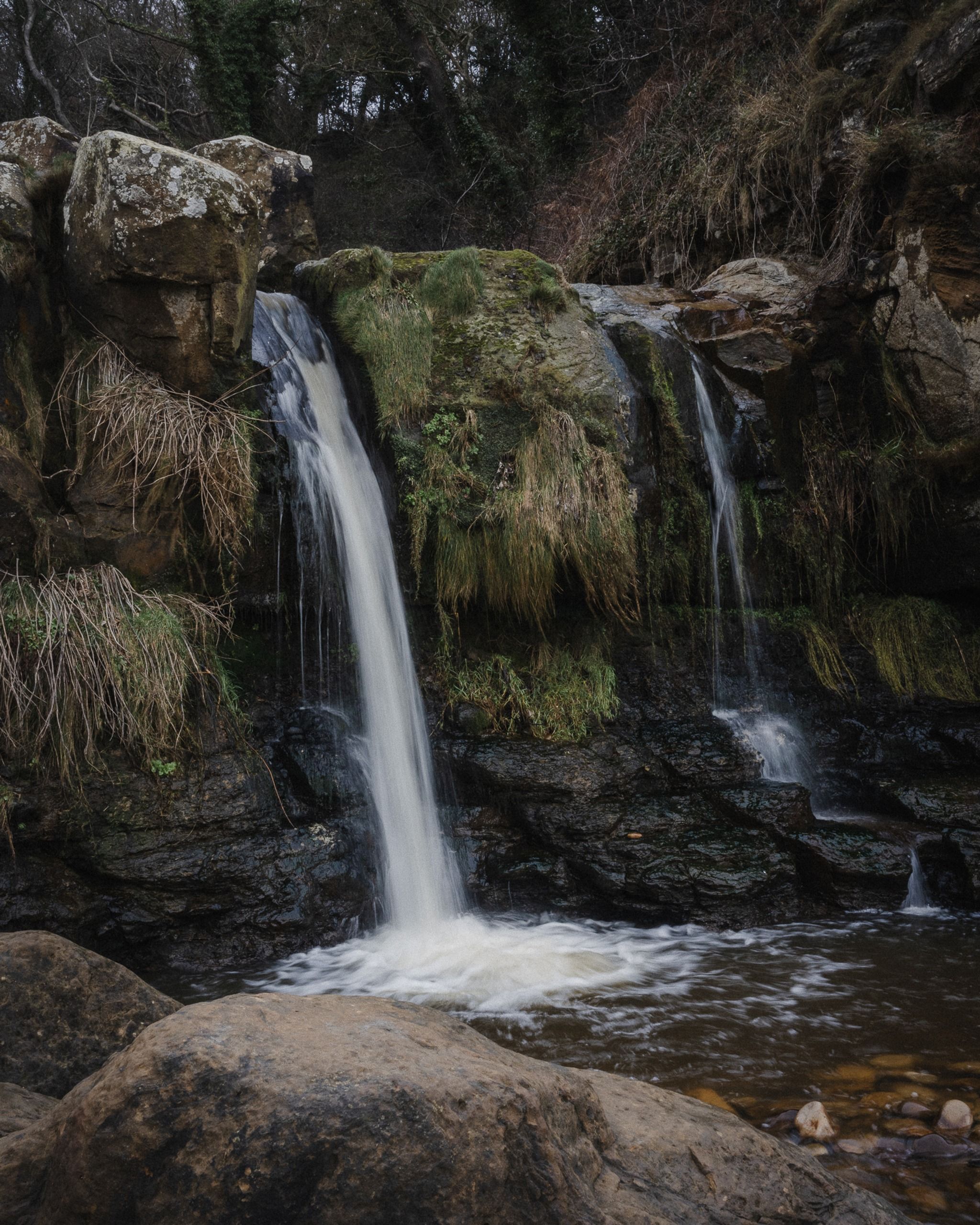 Hayburn Wyke Waterfall Hike 