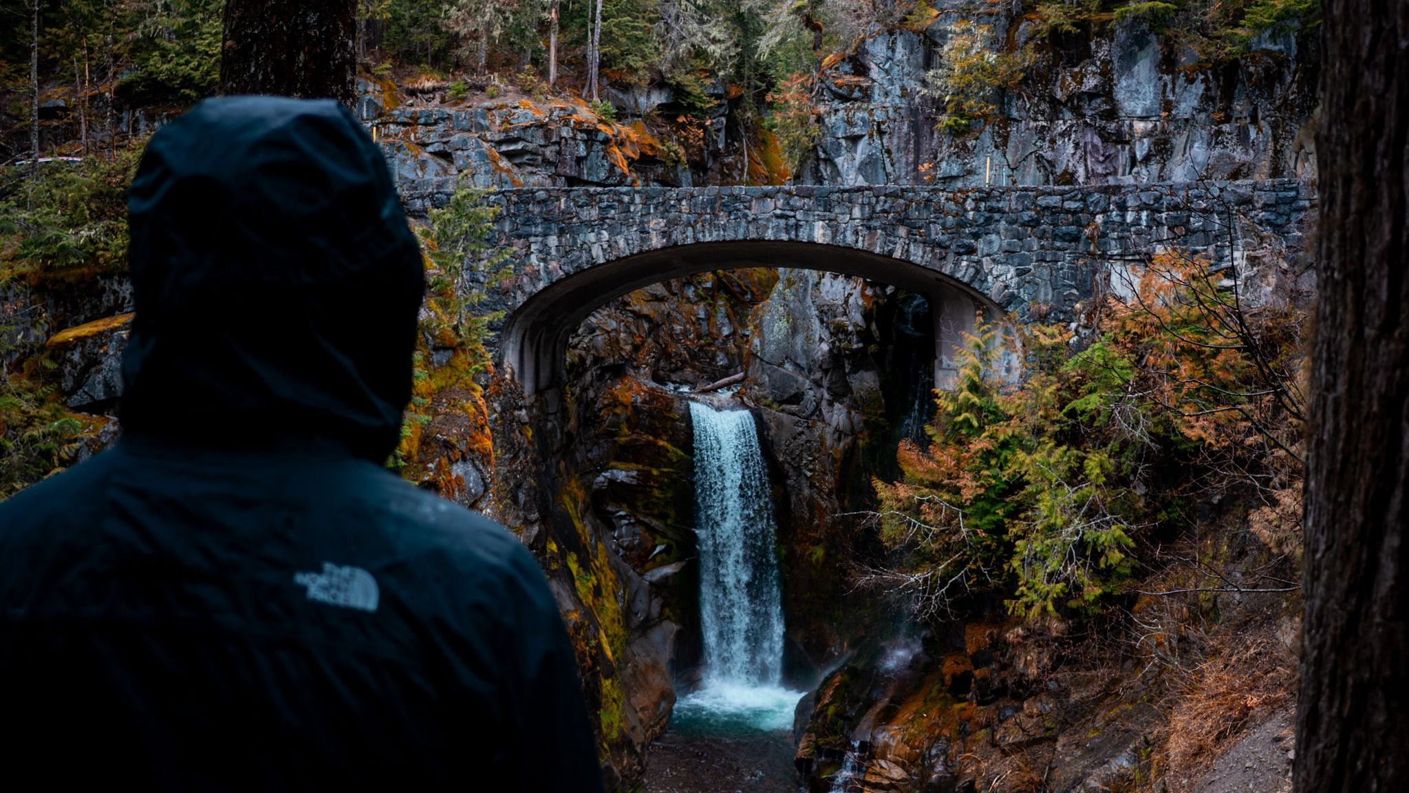 Christine Falls
