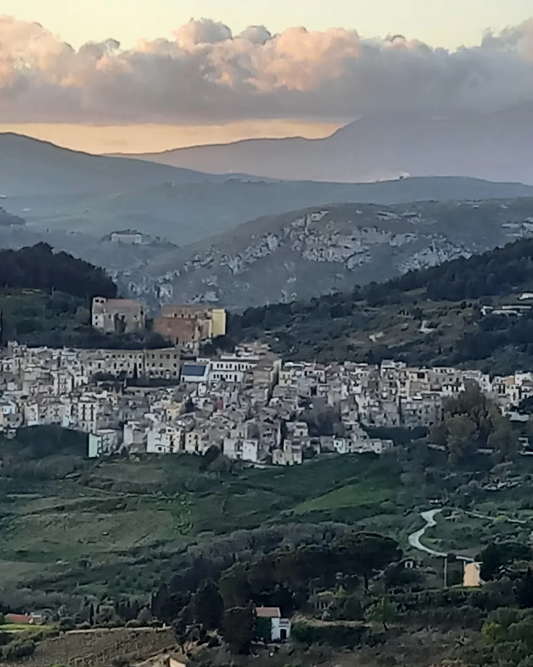 Piccolo Sole d'Oro🌞