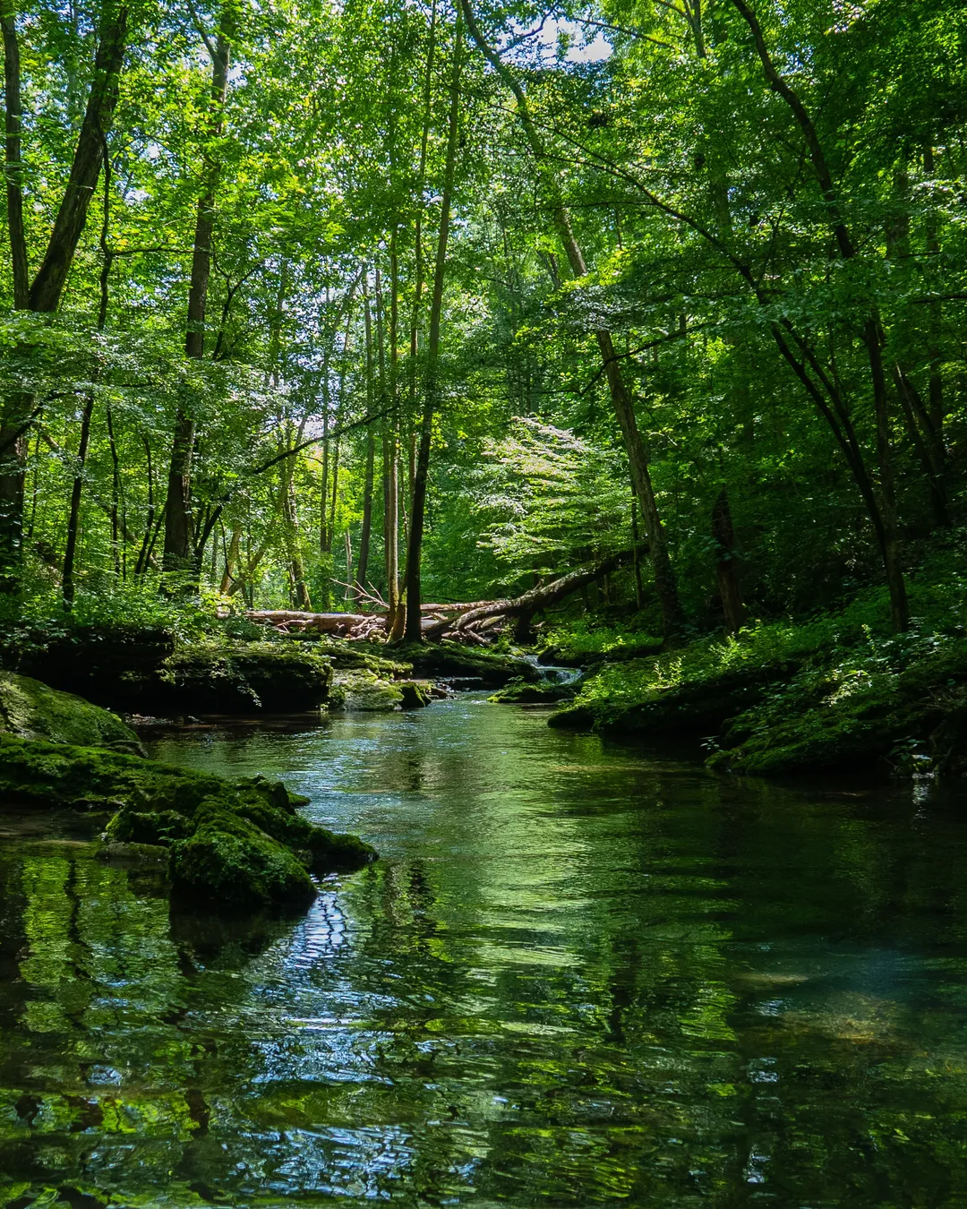 Extreme Kayaking Experience