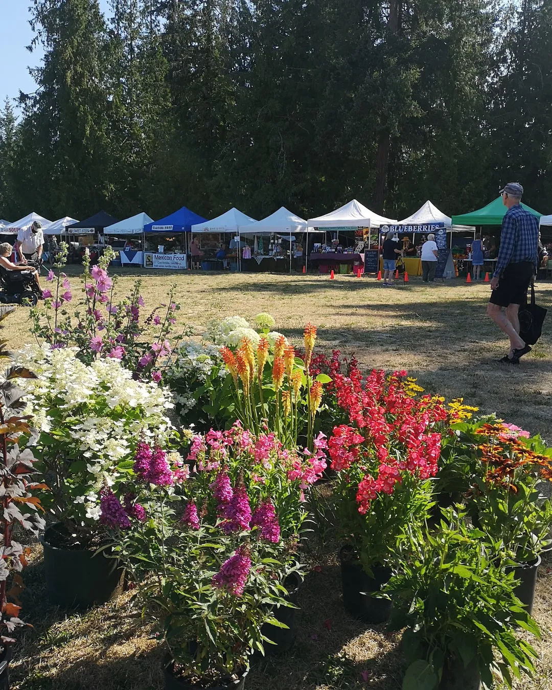 Cedar Farmer's Market