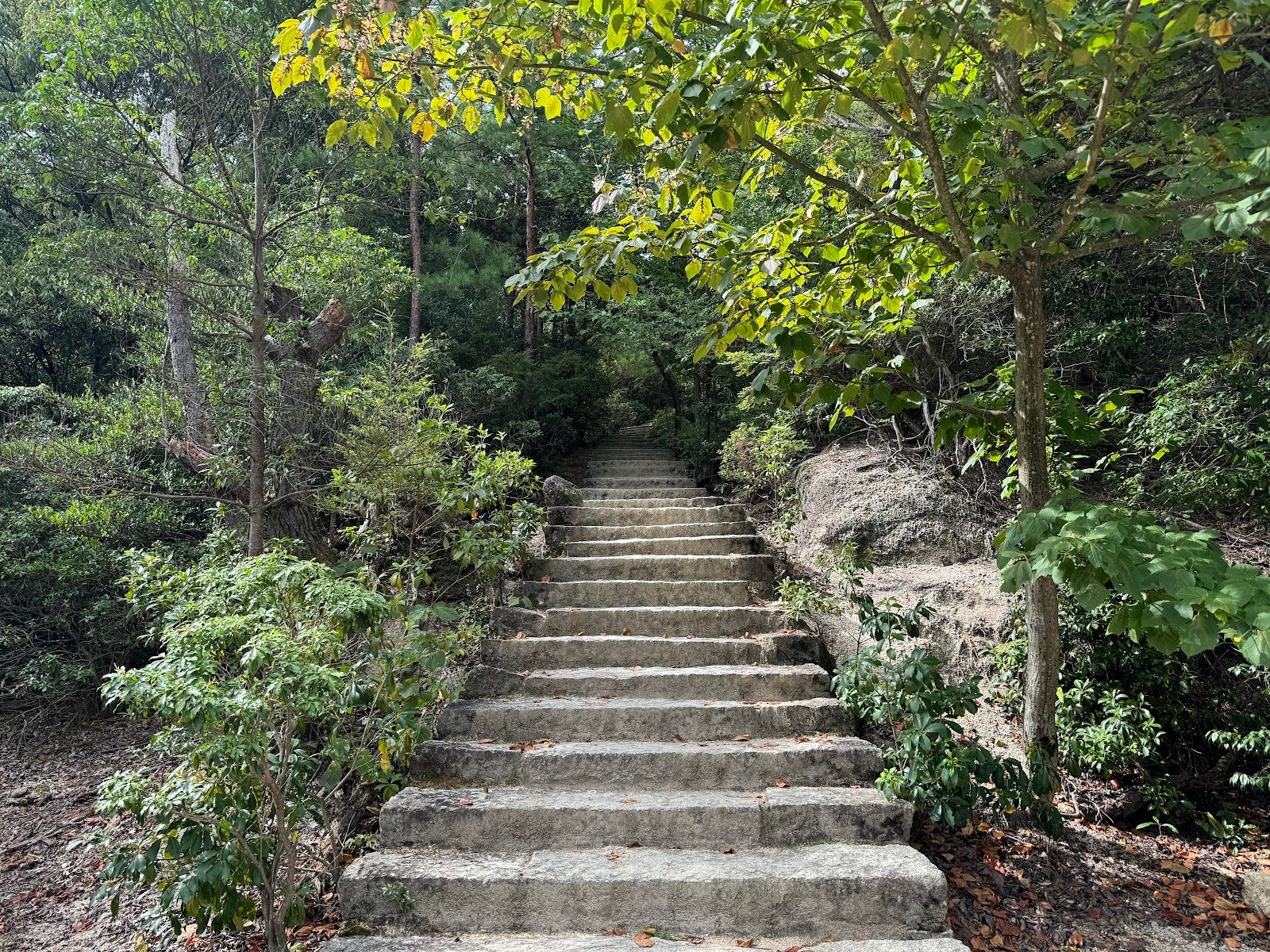 Mount Misen - Rural Travels, Japan - Rexby