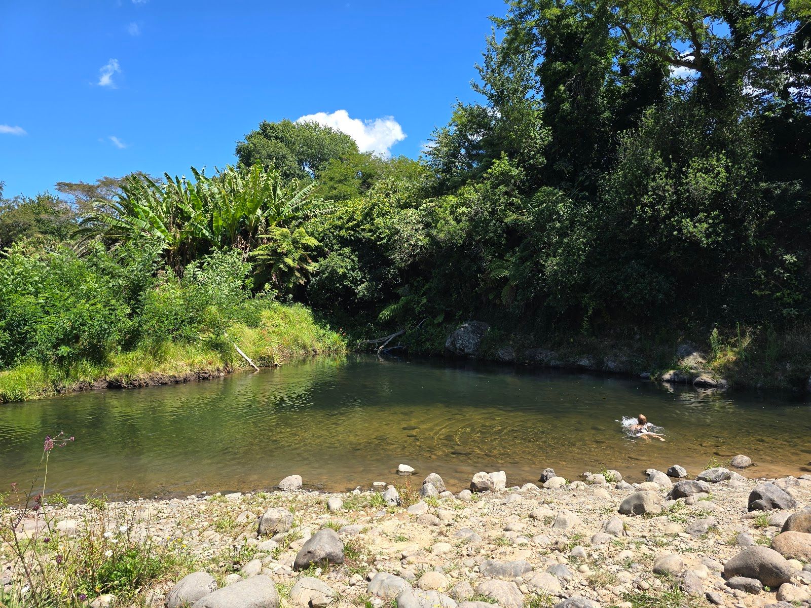 Tuapiro Stream Swimming hole and Freedom Camping