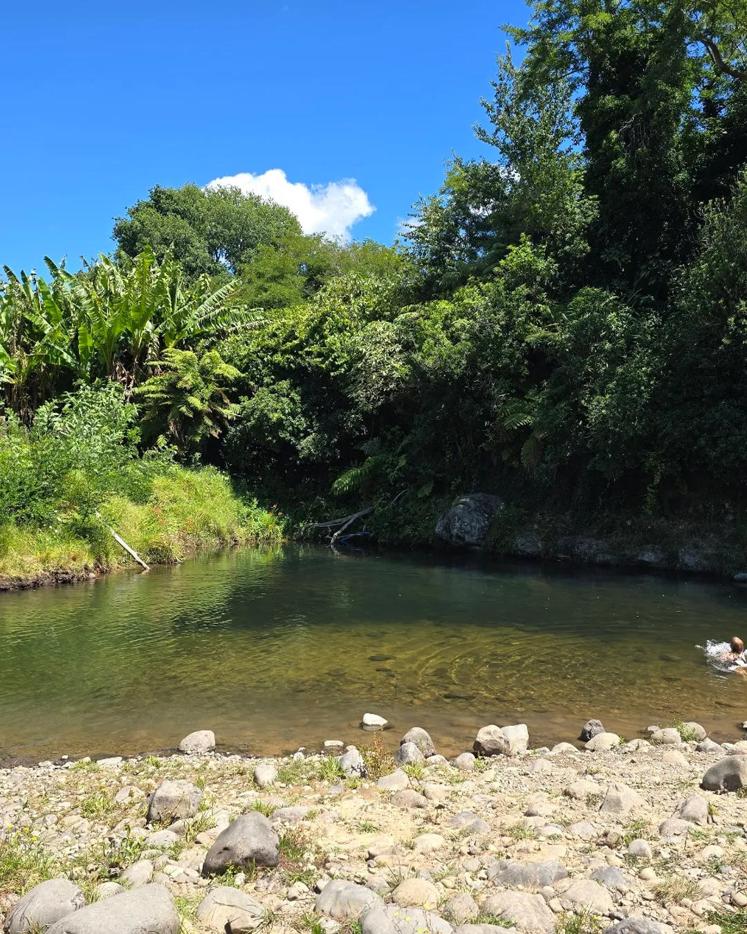 Tuapiro Stream Swimming hole and Freedom Camping