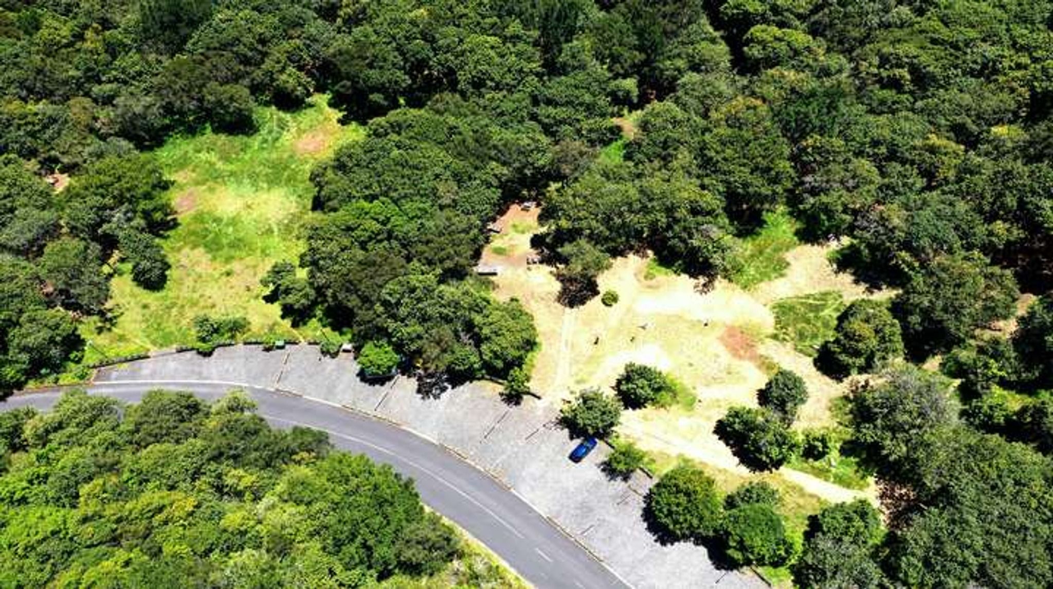 Chão dos Louros forest park