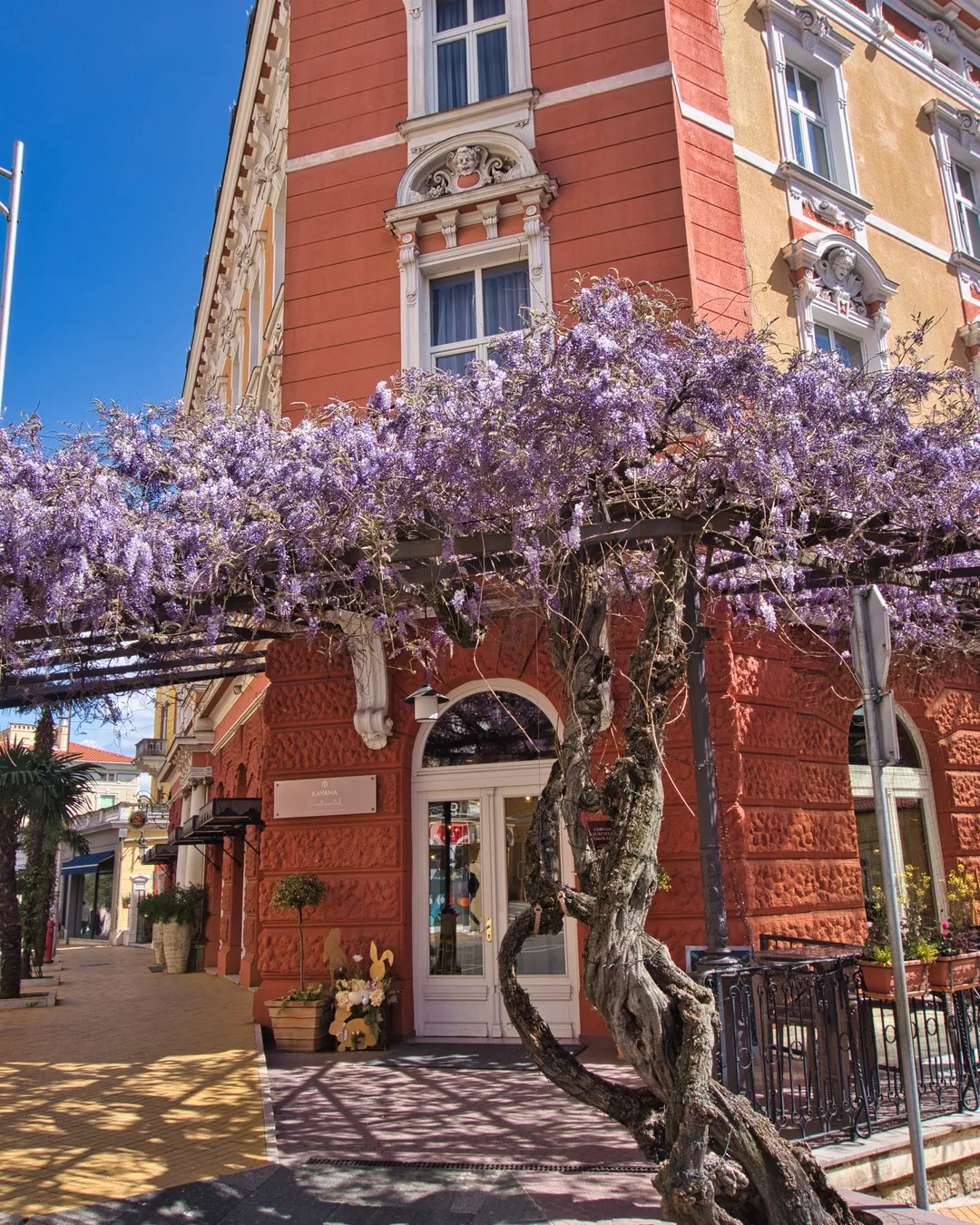 Caffé Continental