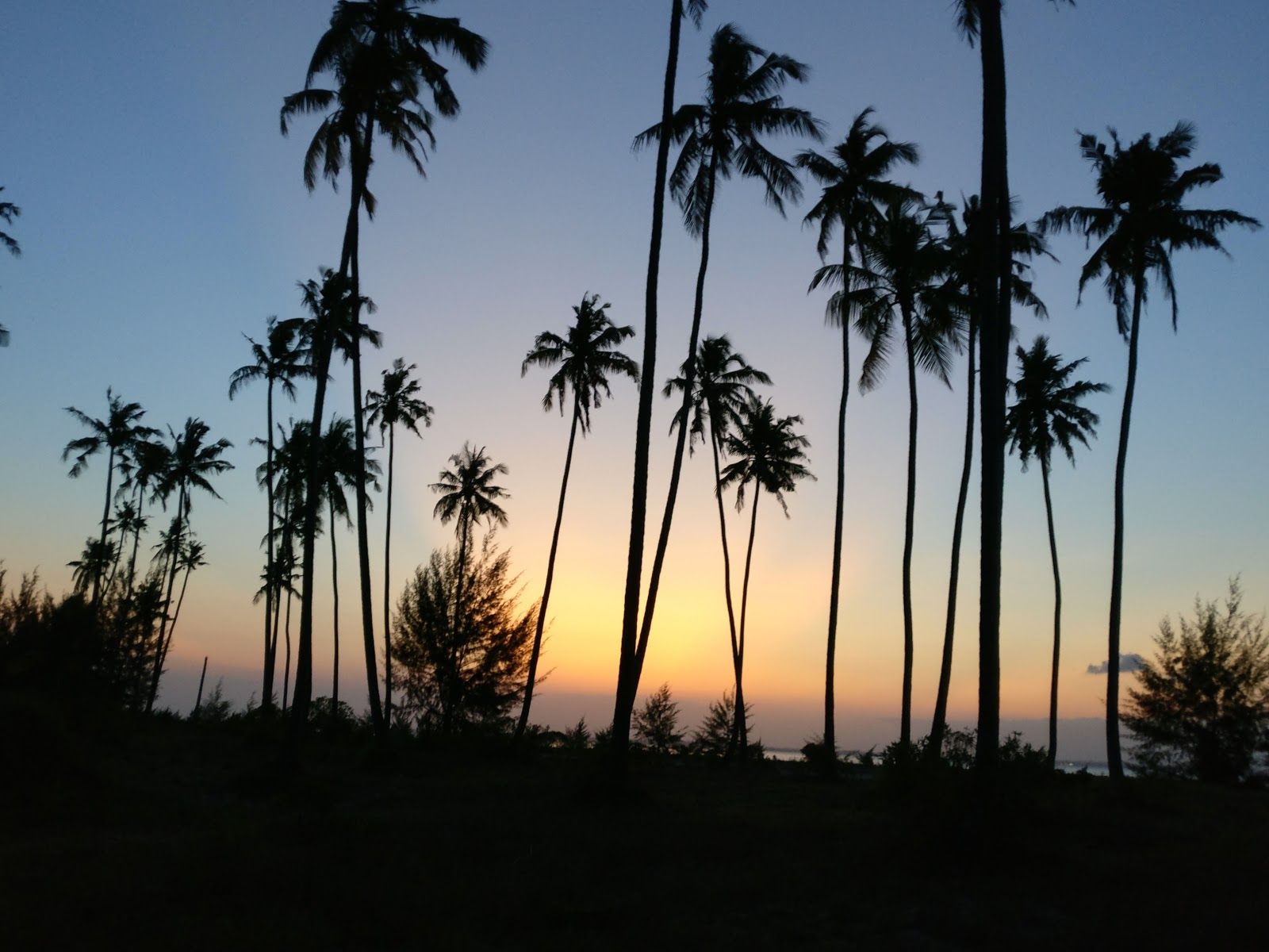 Michamvi Sunset Beach
