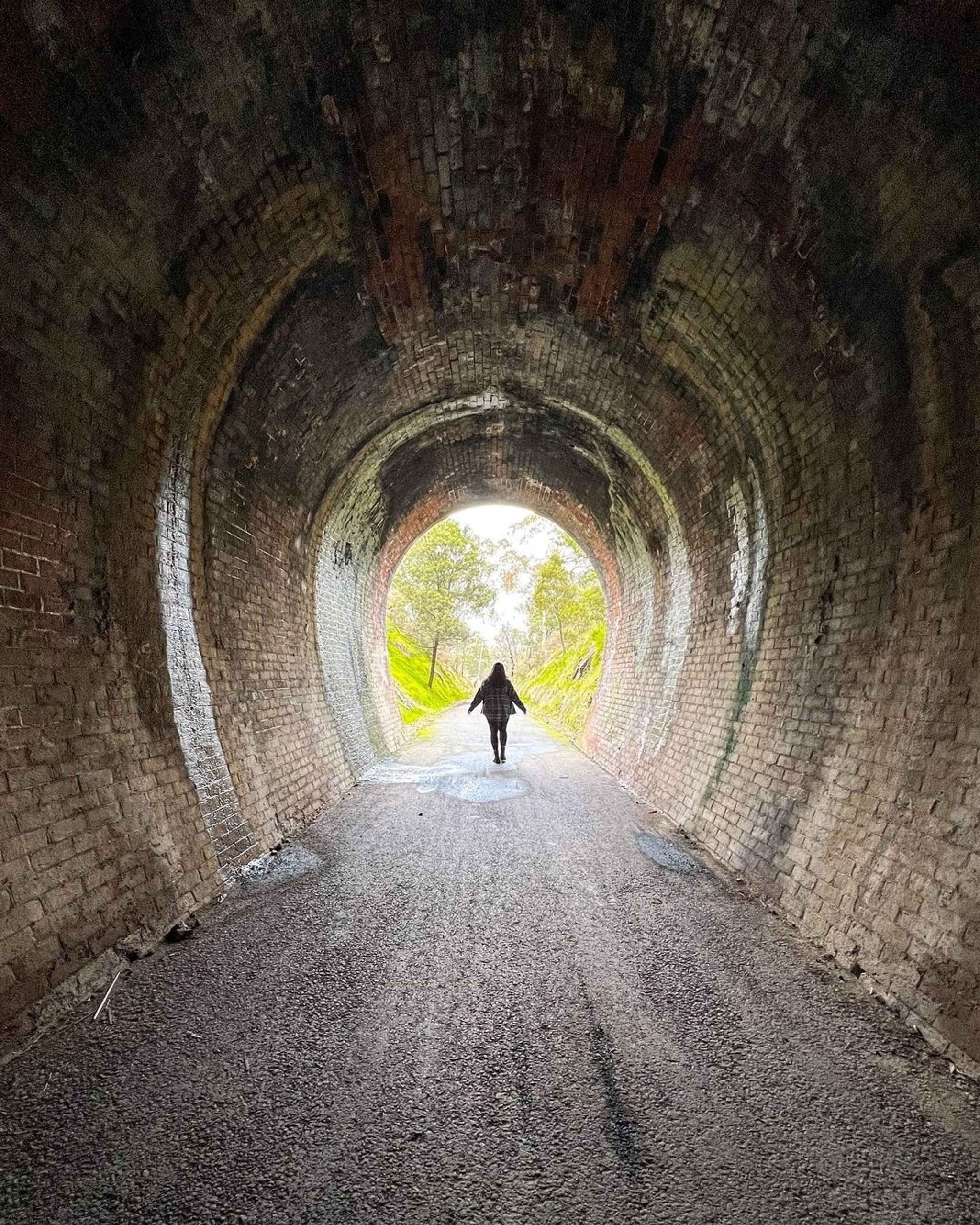 Cheviot Railway Tunnel 