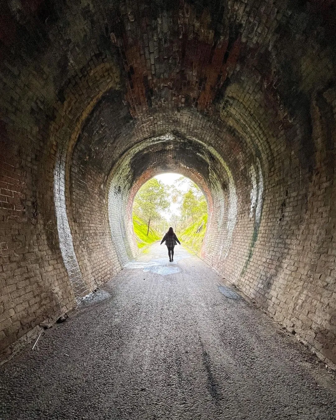 Cheviot Railway Tunnel 