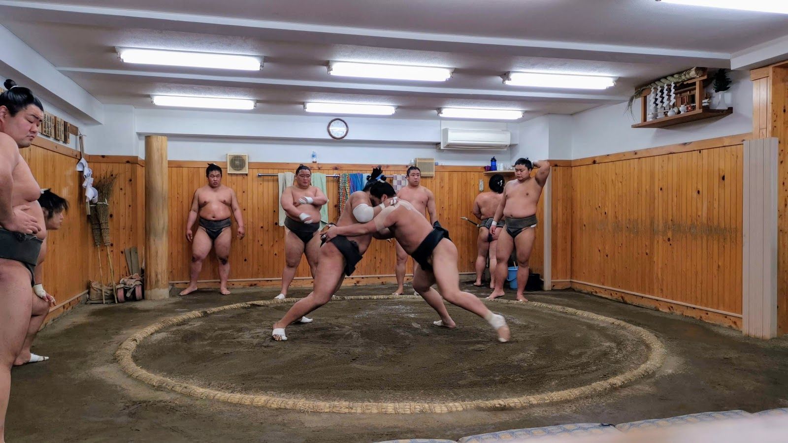 arashio beya sumo stable