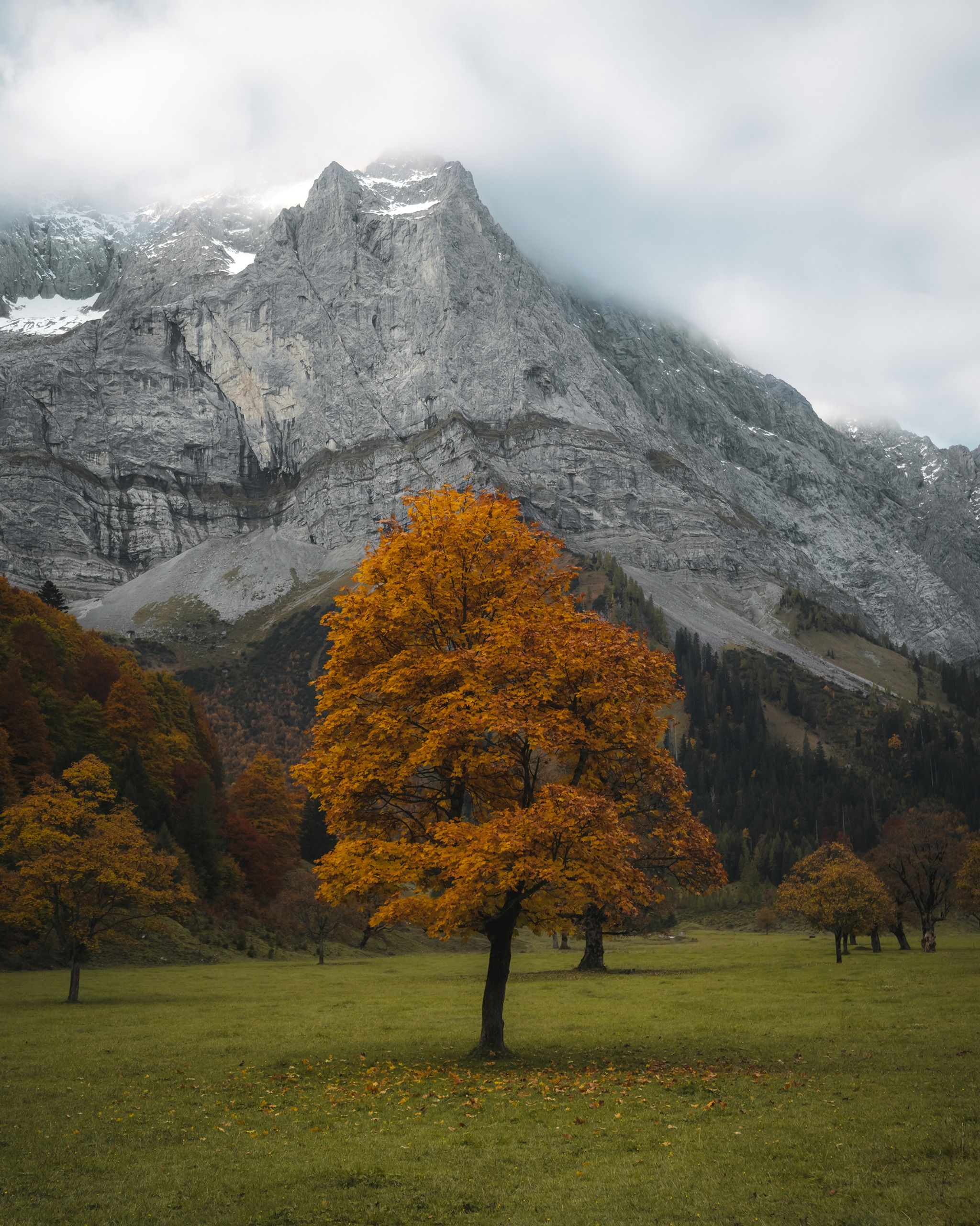 Großer Ahornboden