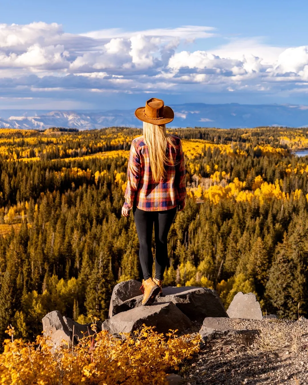 Grand Mesa Overlook