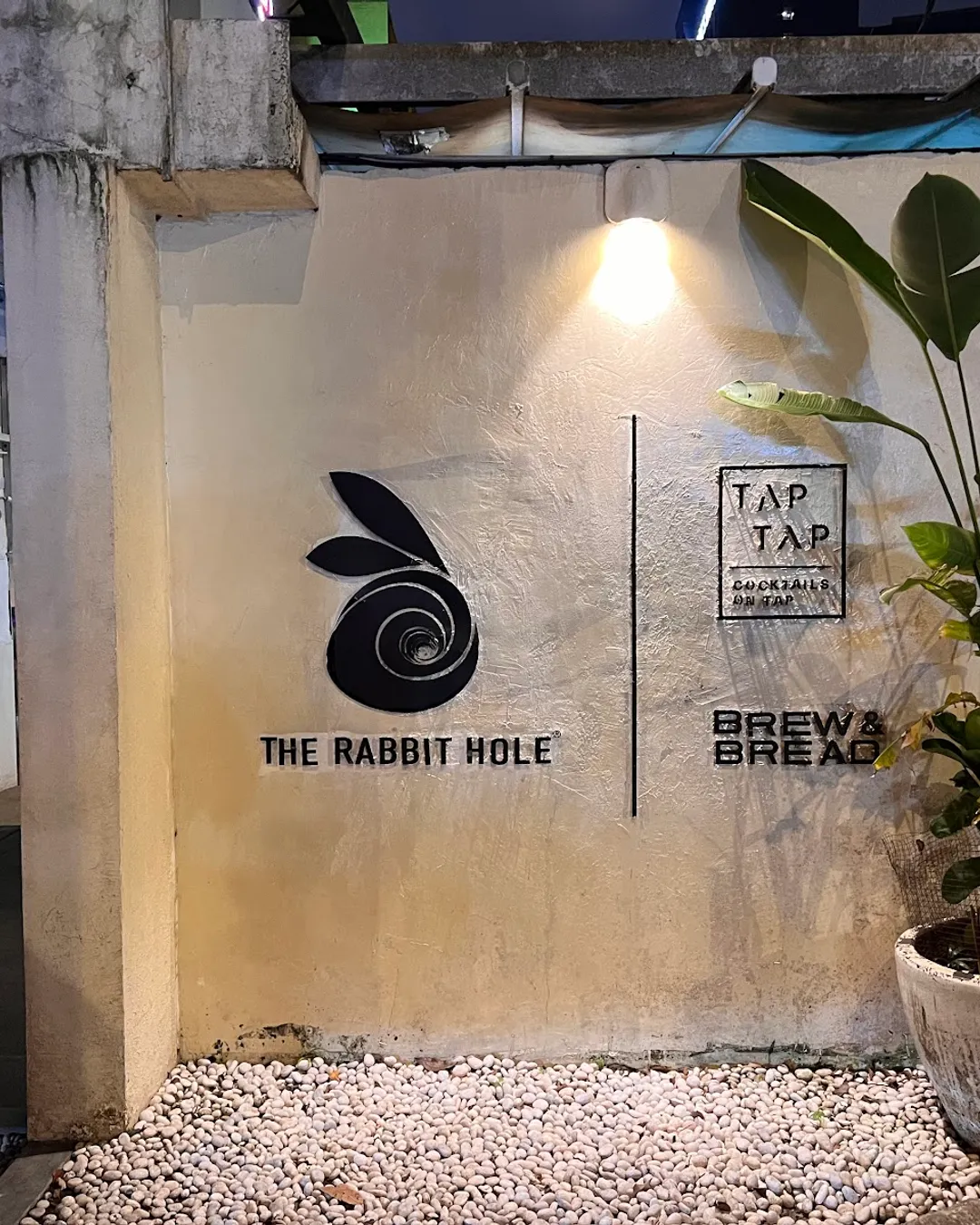 The Rabbit Hole