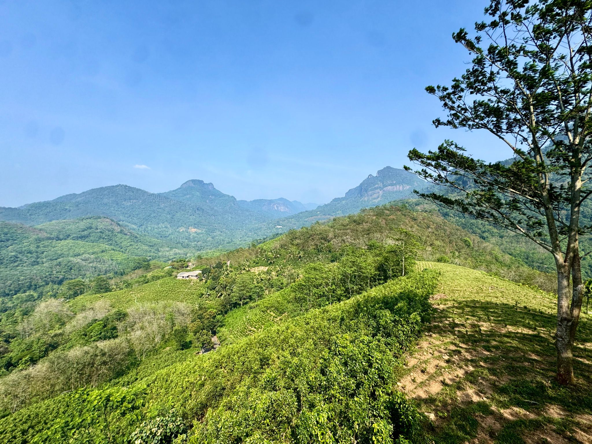 Panorama Road: Von Yatianthoda nach Dolosbage 