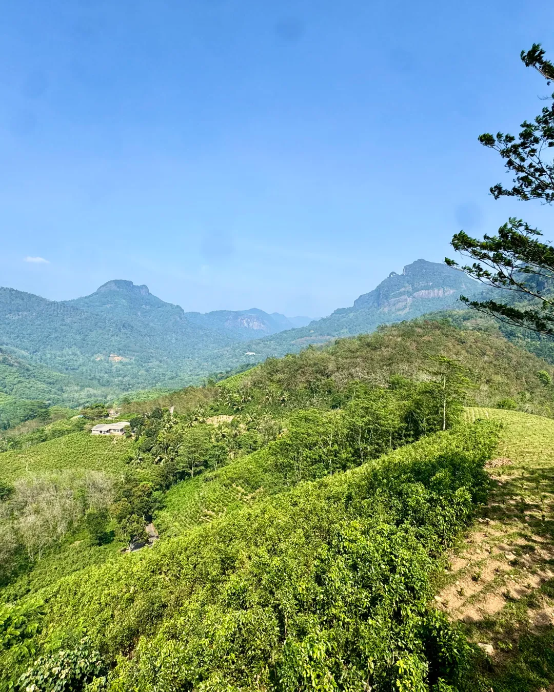 Panorama Road: Von Yatianthoda nach Dolosbage 