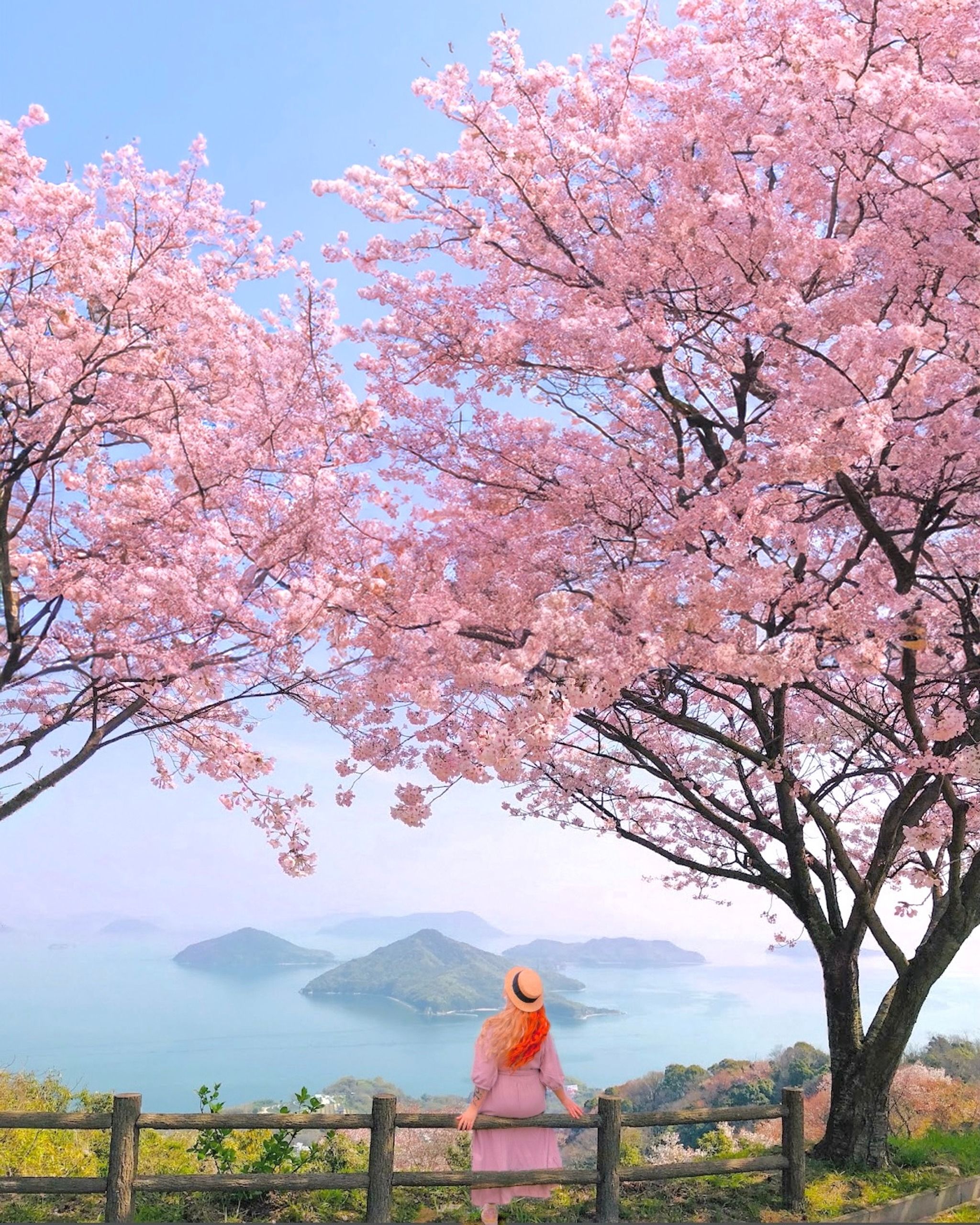 Mt. Shiude Primary Parking Overlook