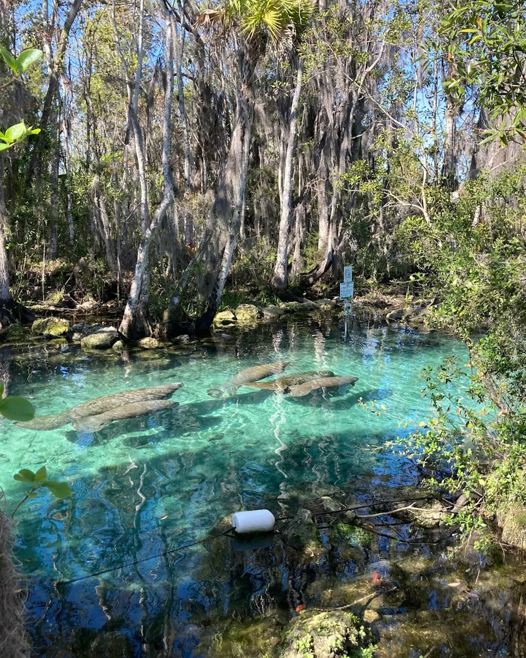 Three Sisters Springs