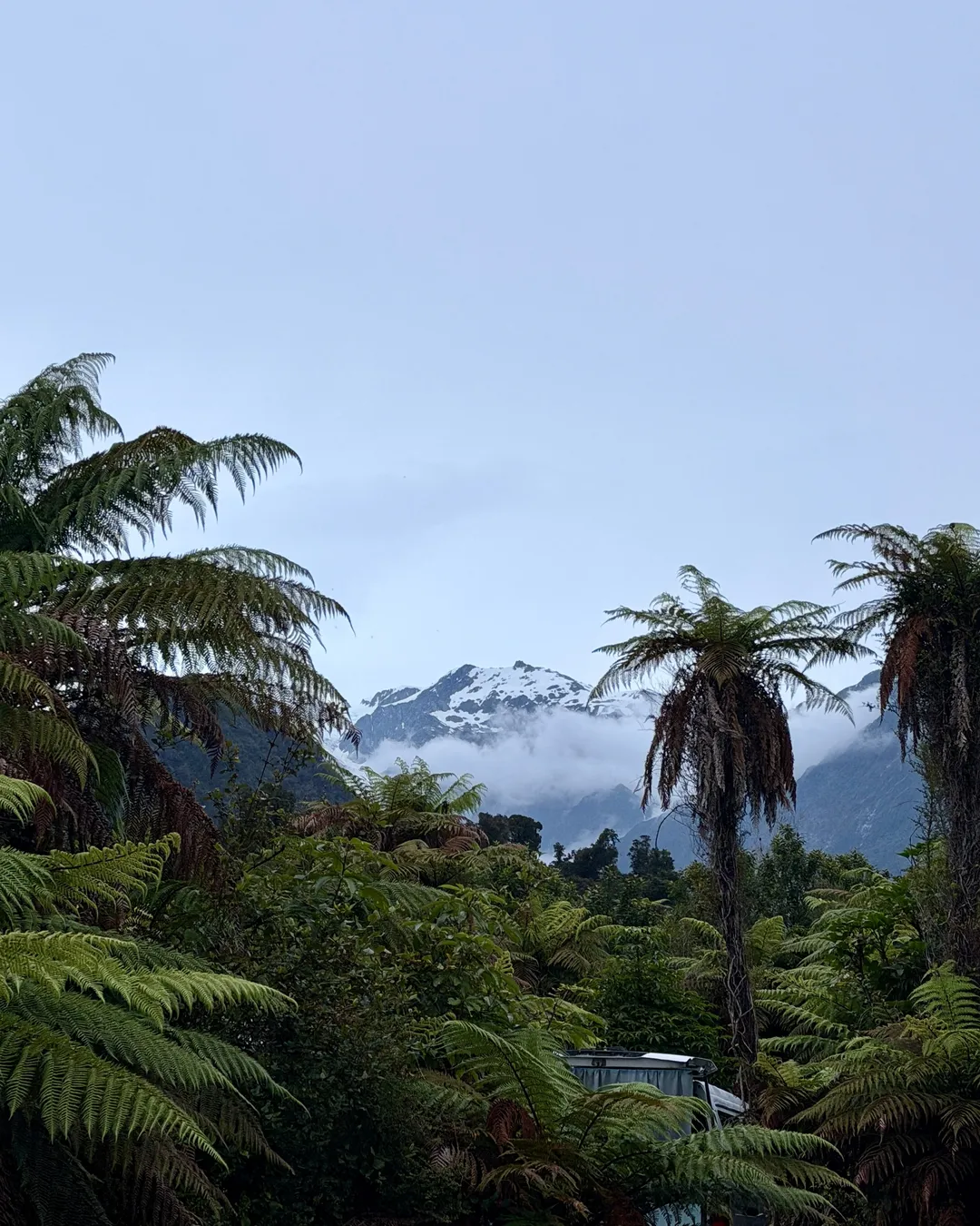 Orange Sheep Campervan Park