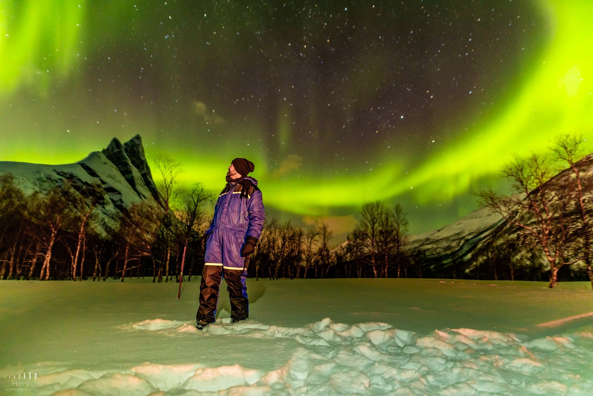 Northern Horizon - Caçada Aurora Boreal