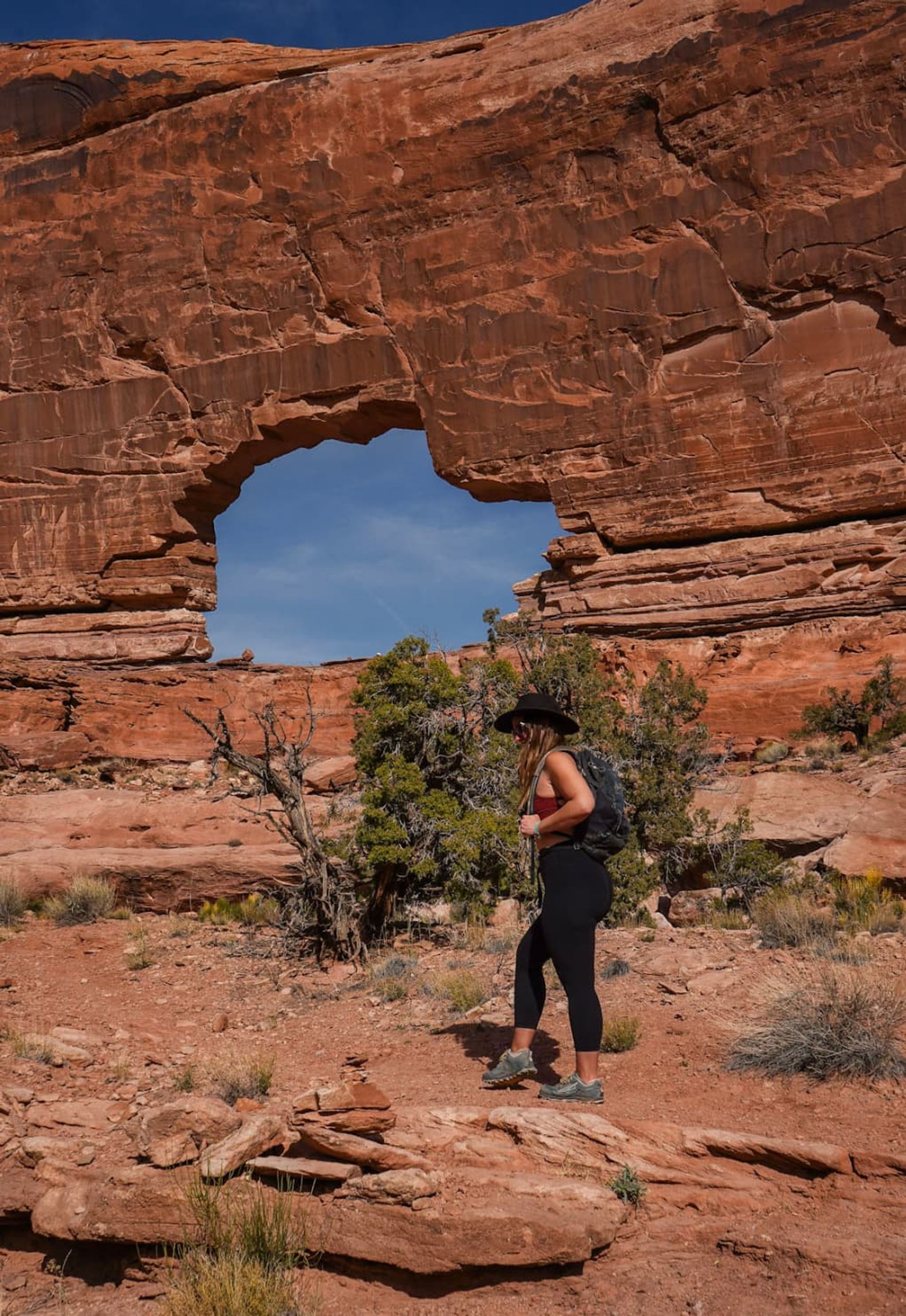 Jeep Arch Trail