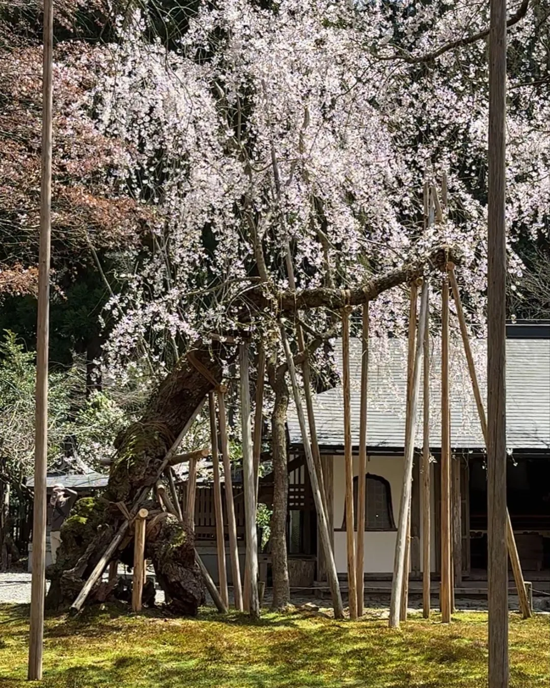 Jōshōkō-ji Temple