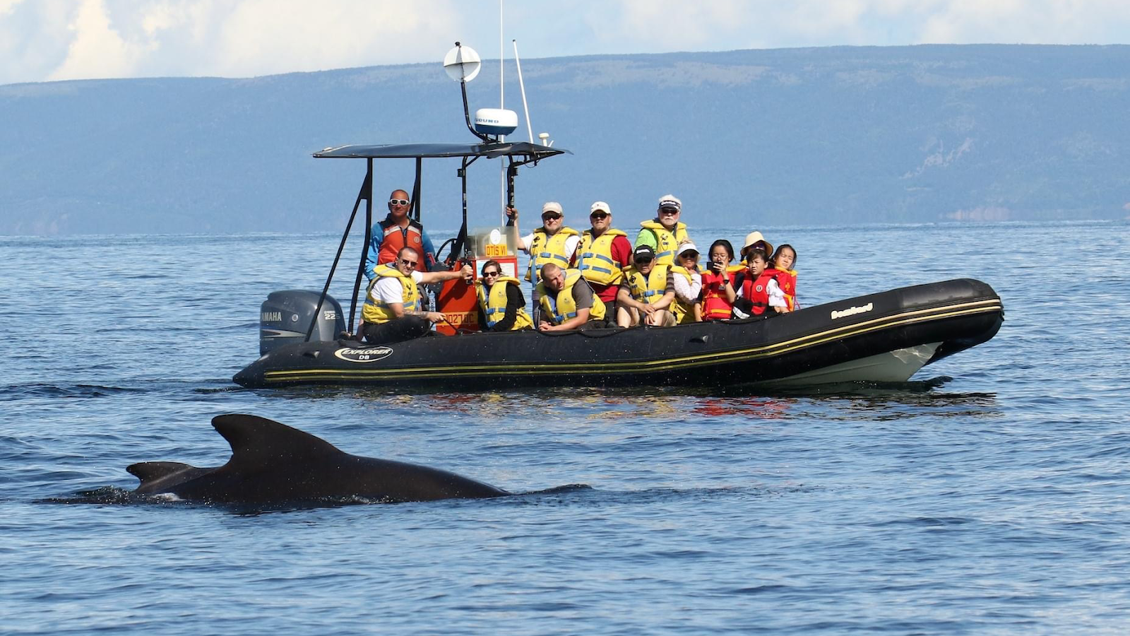 Captain Zodiac Whale Cruise in Cheticamp