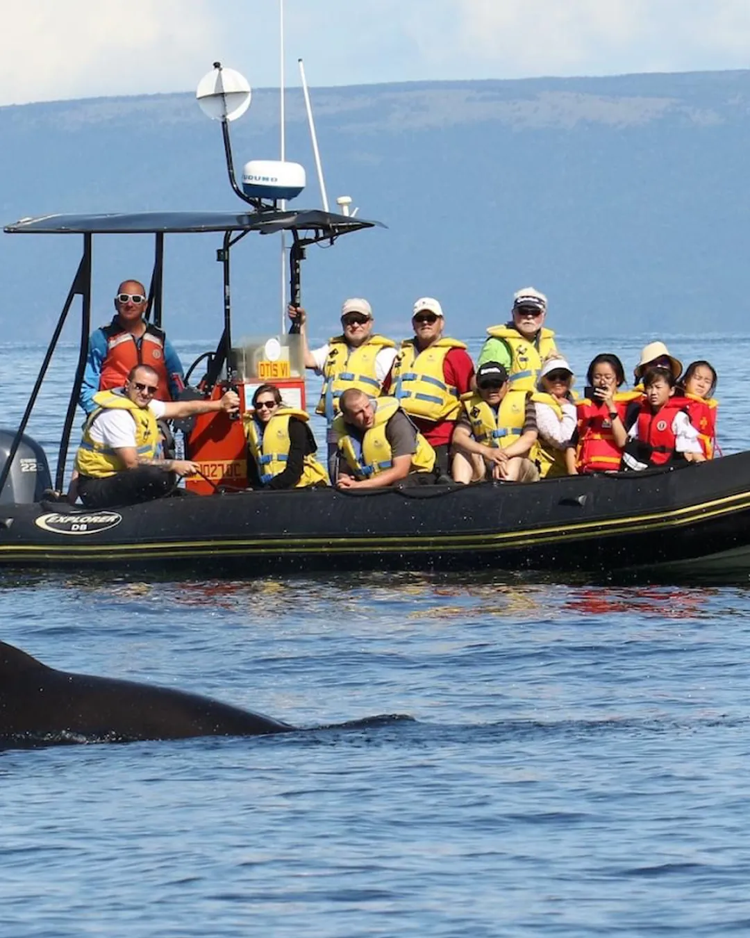 Captain Zodiac Whale Cruise in Cheticamp
