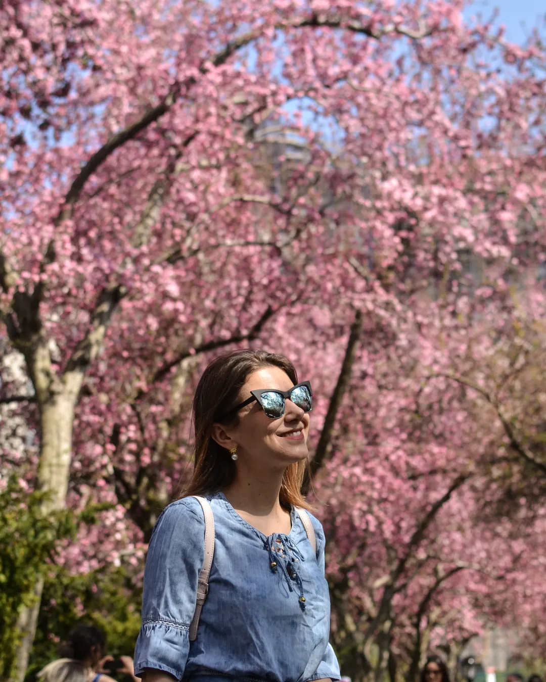 Conservatory Garden