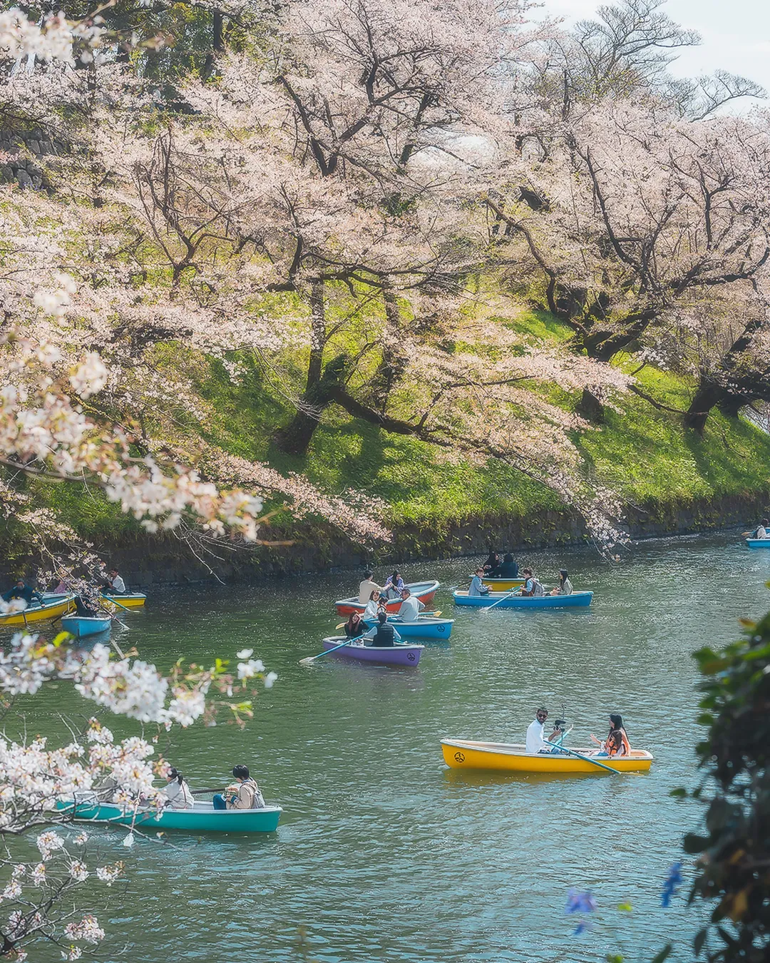 Chiyoda - Chidorigafuchi