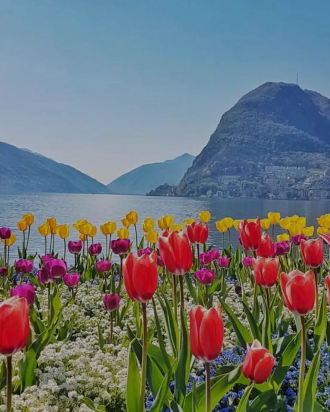 Monte San Salvatore