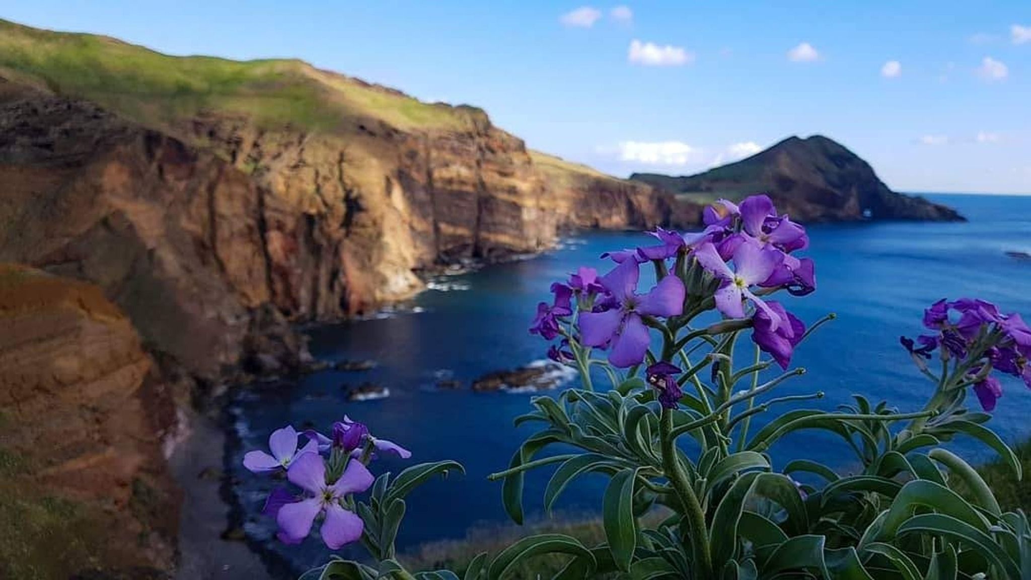 PR8 - Vereda da Ponta de São Lourenço