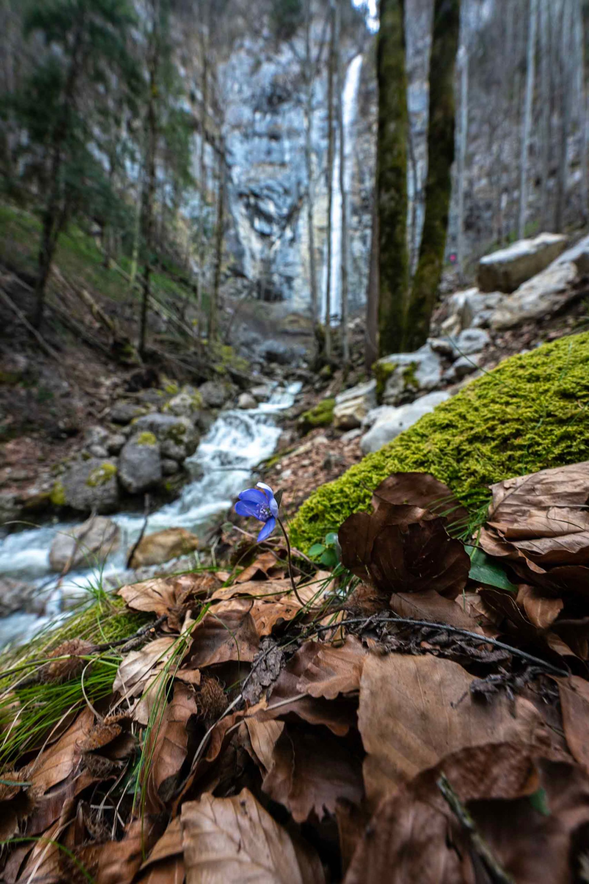 Schoßrinn waterfall