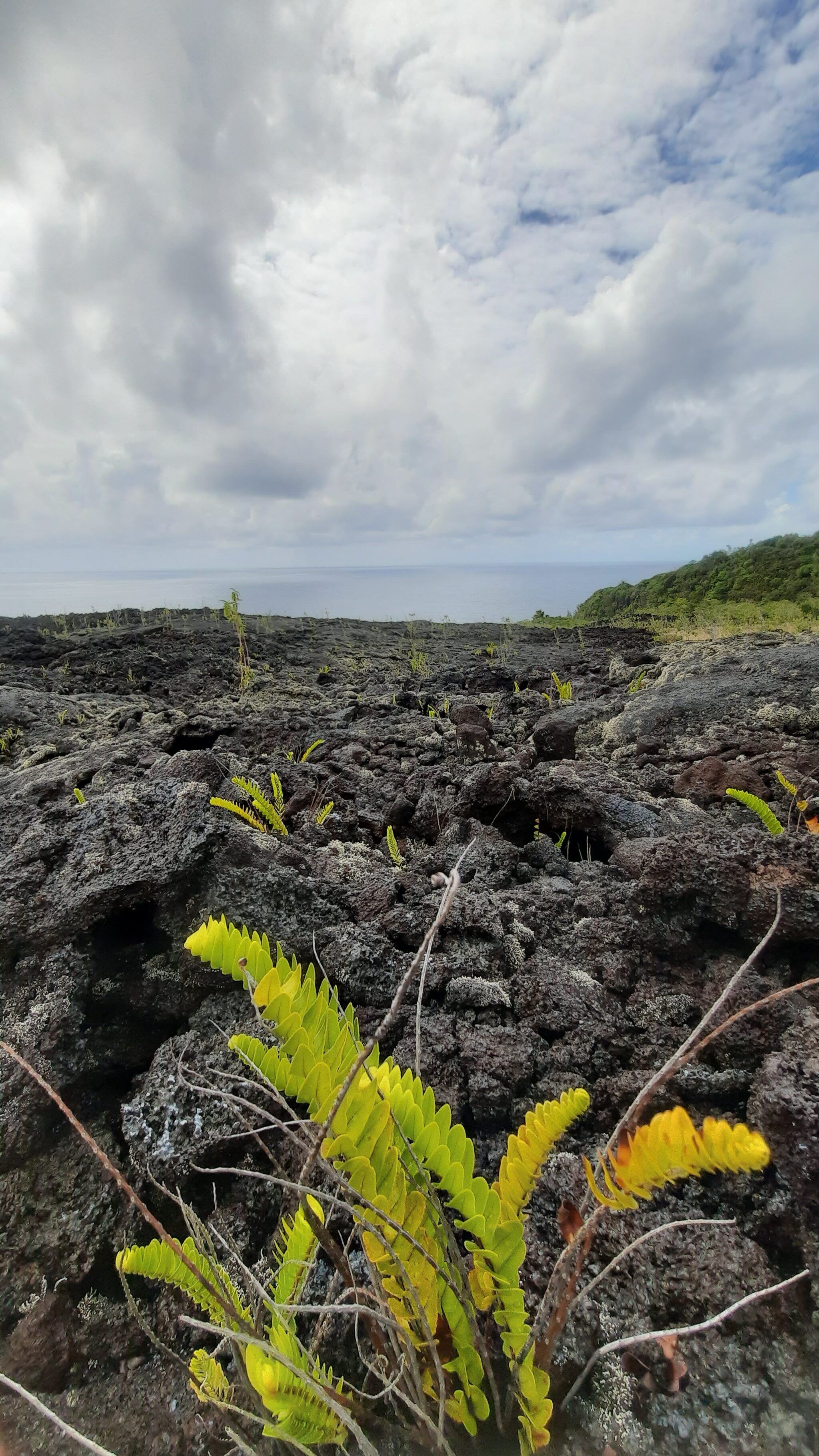 Saint-Philippe – Route des Laves