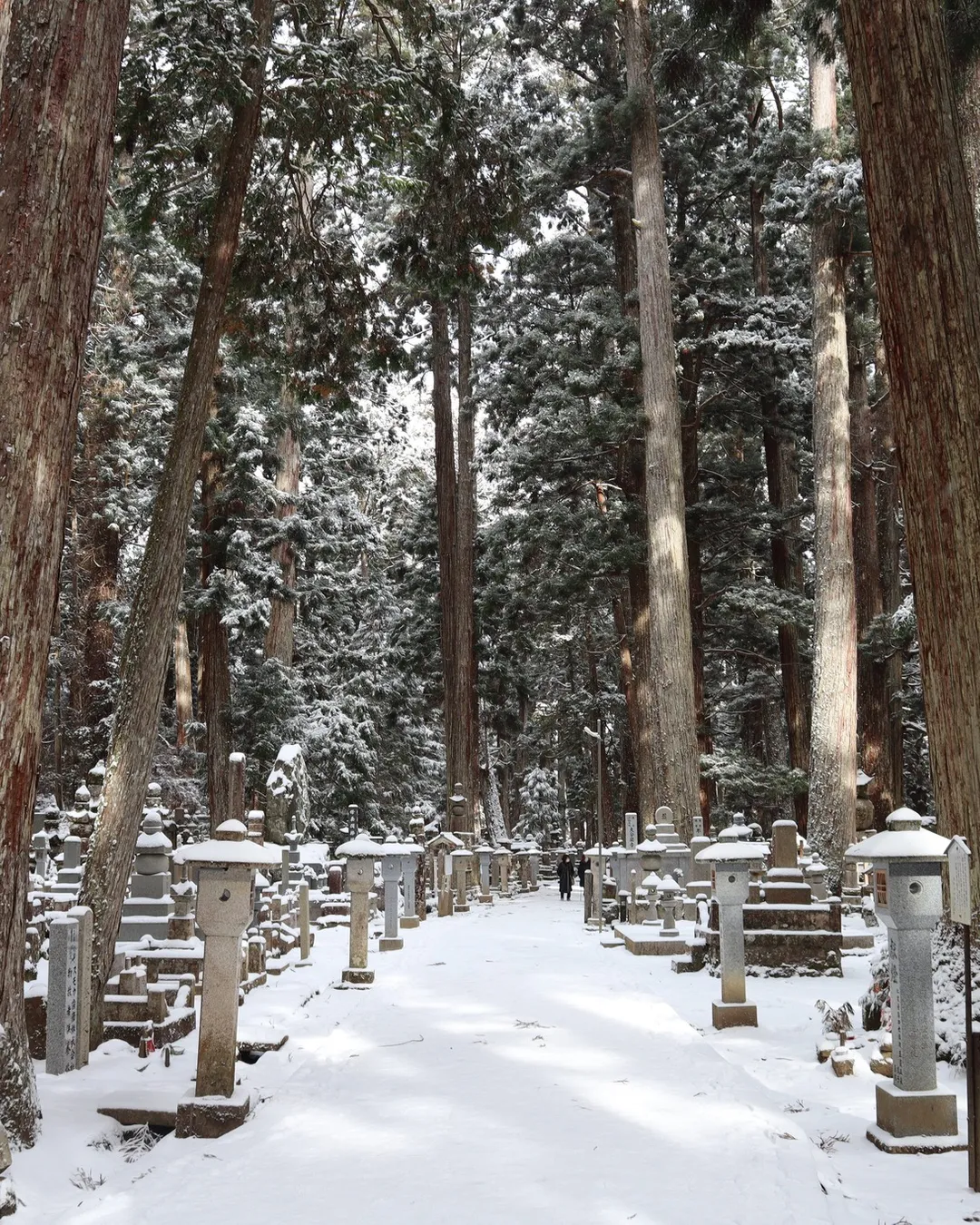 Koyasan Spiritual Centre of Japan