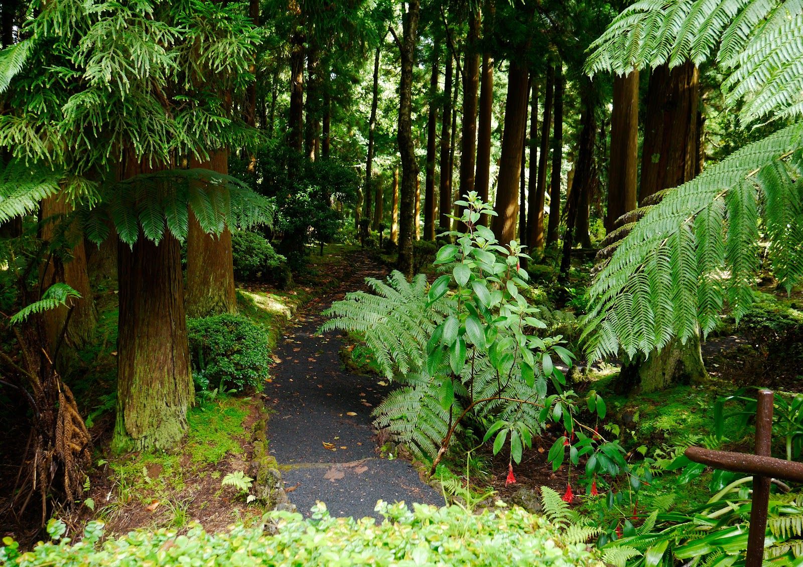 Sete Fontes Forest Park