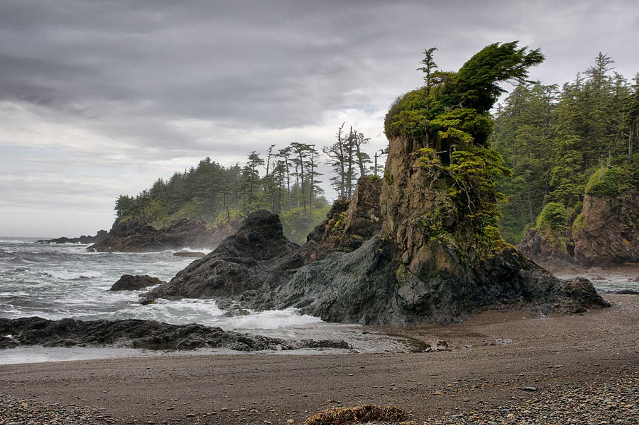 Cape Scott Provincial Park