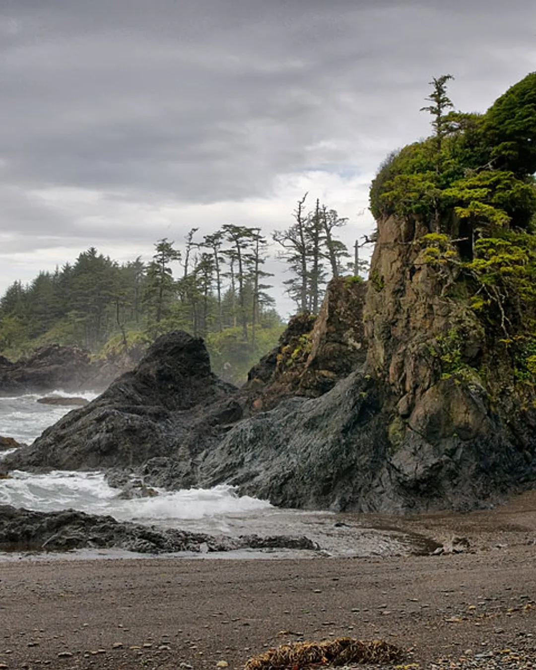 Cape Scott Provincial Park