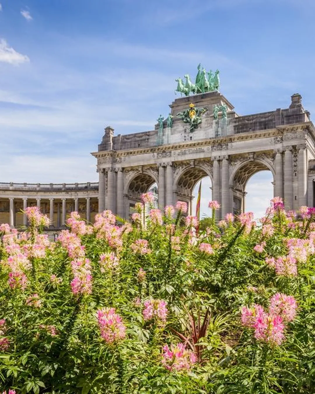 The Cinquantenair site