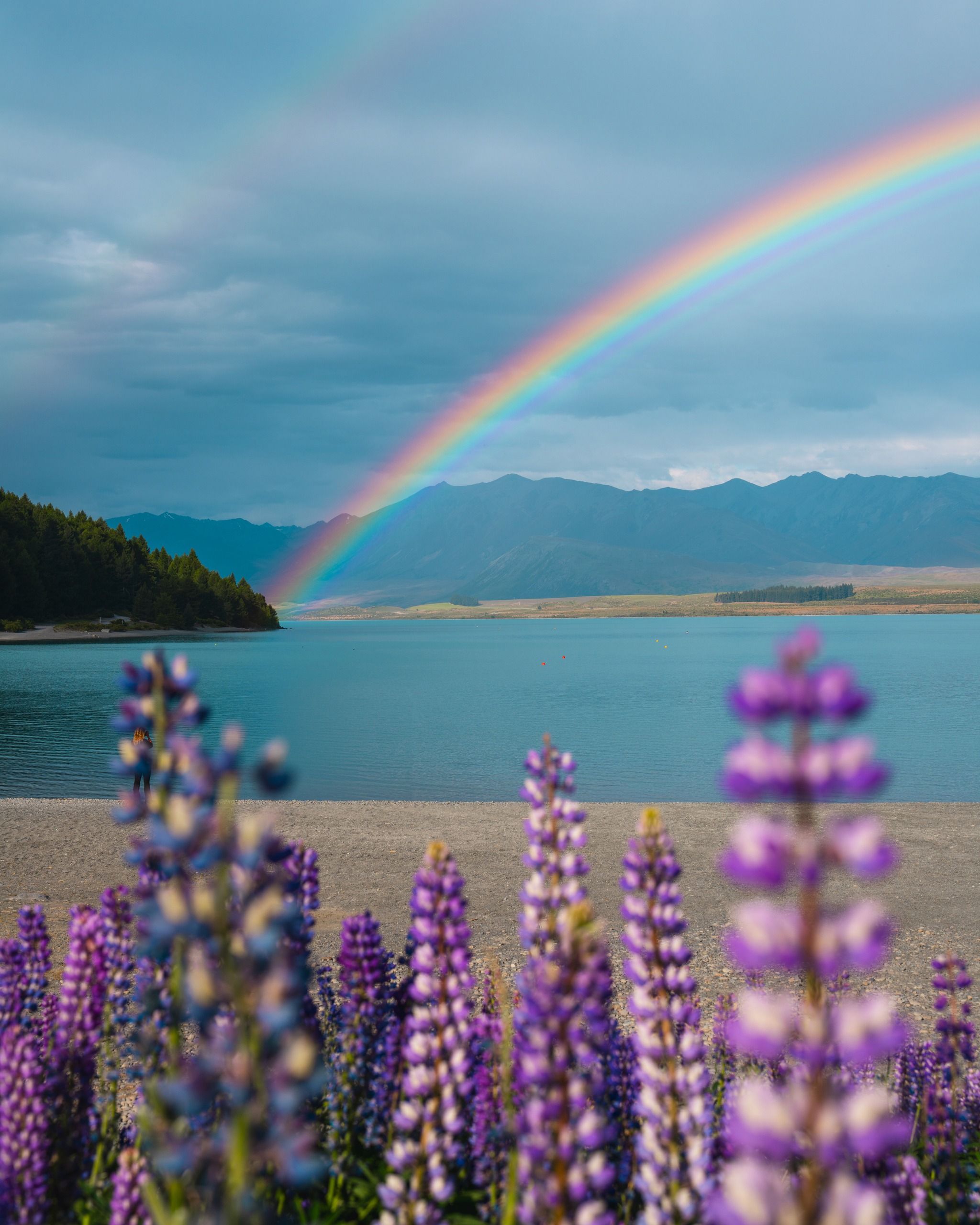 Lake Tekapo / Takapo Scenic