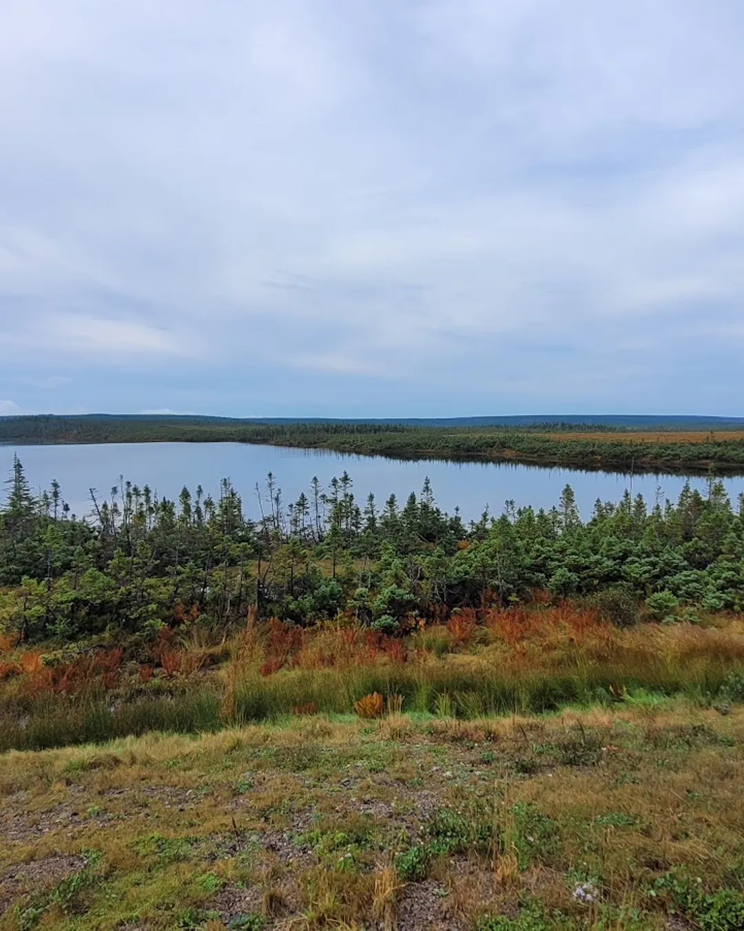 French Lake Look Out