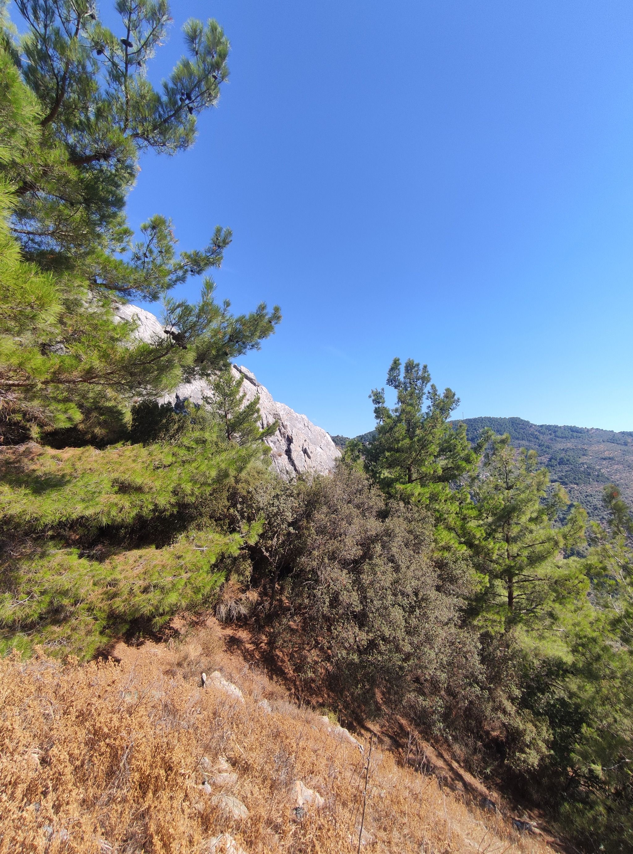 Olympos