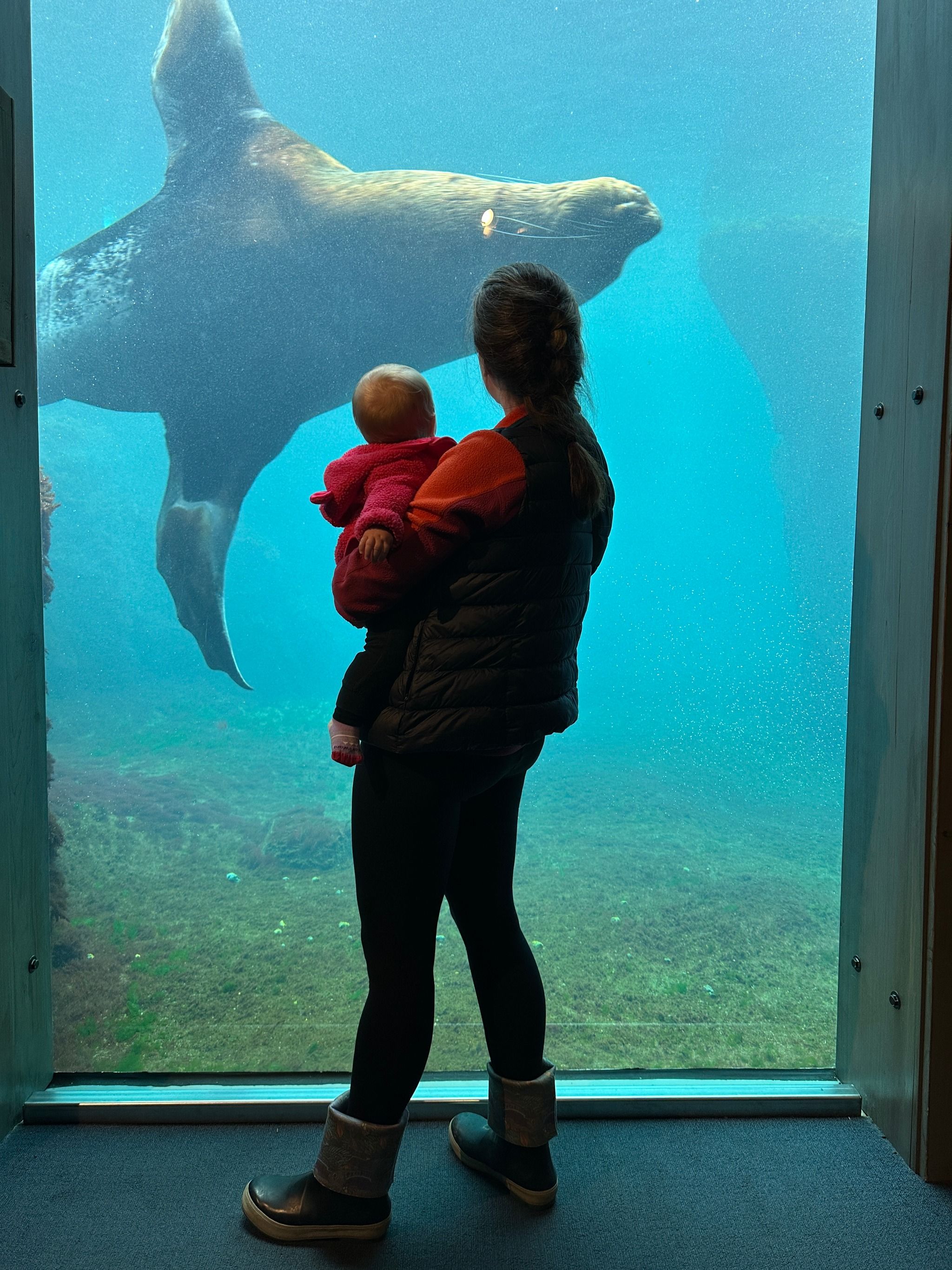 Alaska SeaLife Center