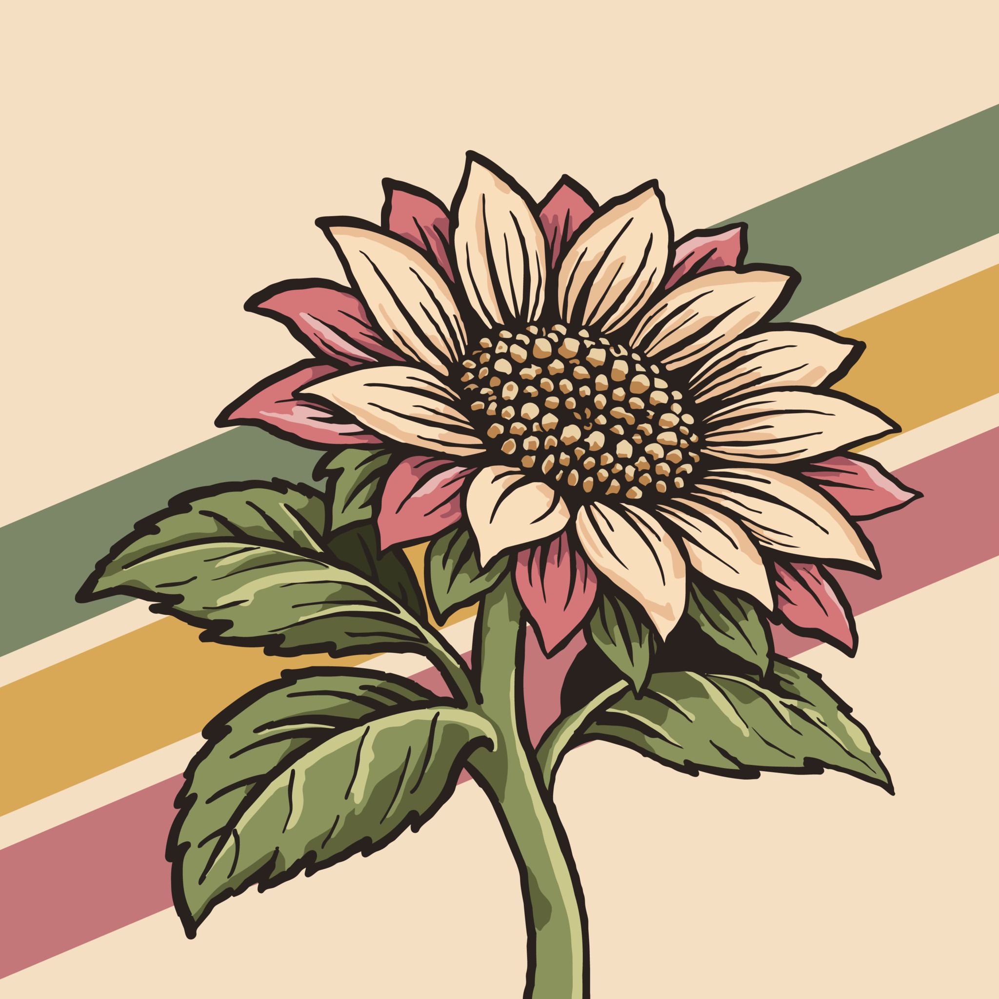 Nowhere Scenic - NowhereScenic