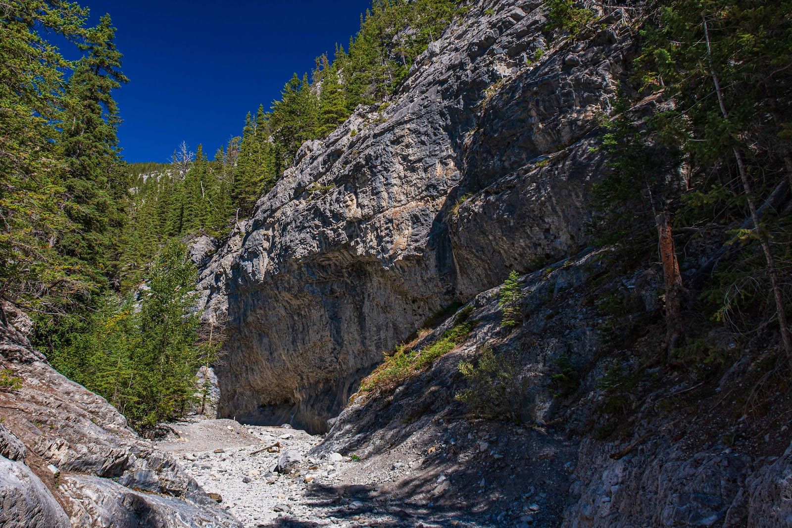 Grotto Canyon Trail Parking Lot