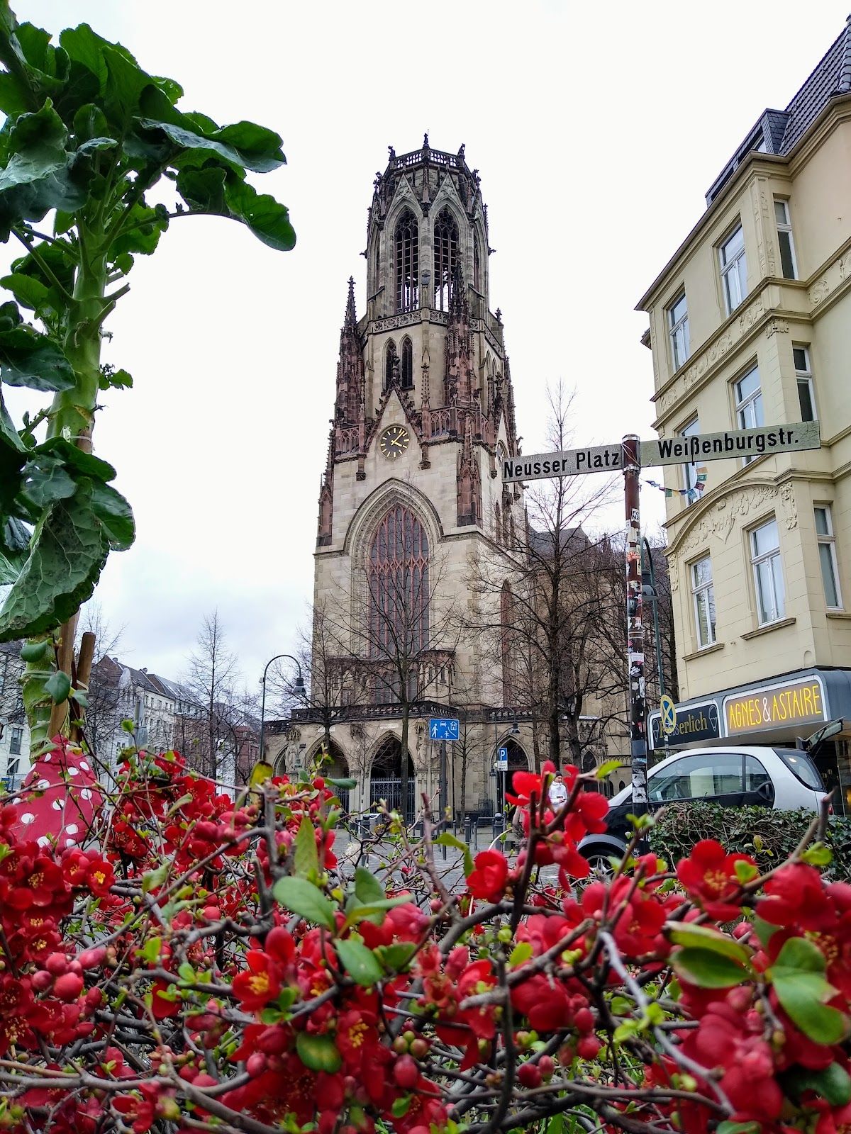 Cologne