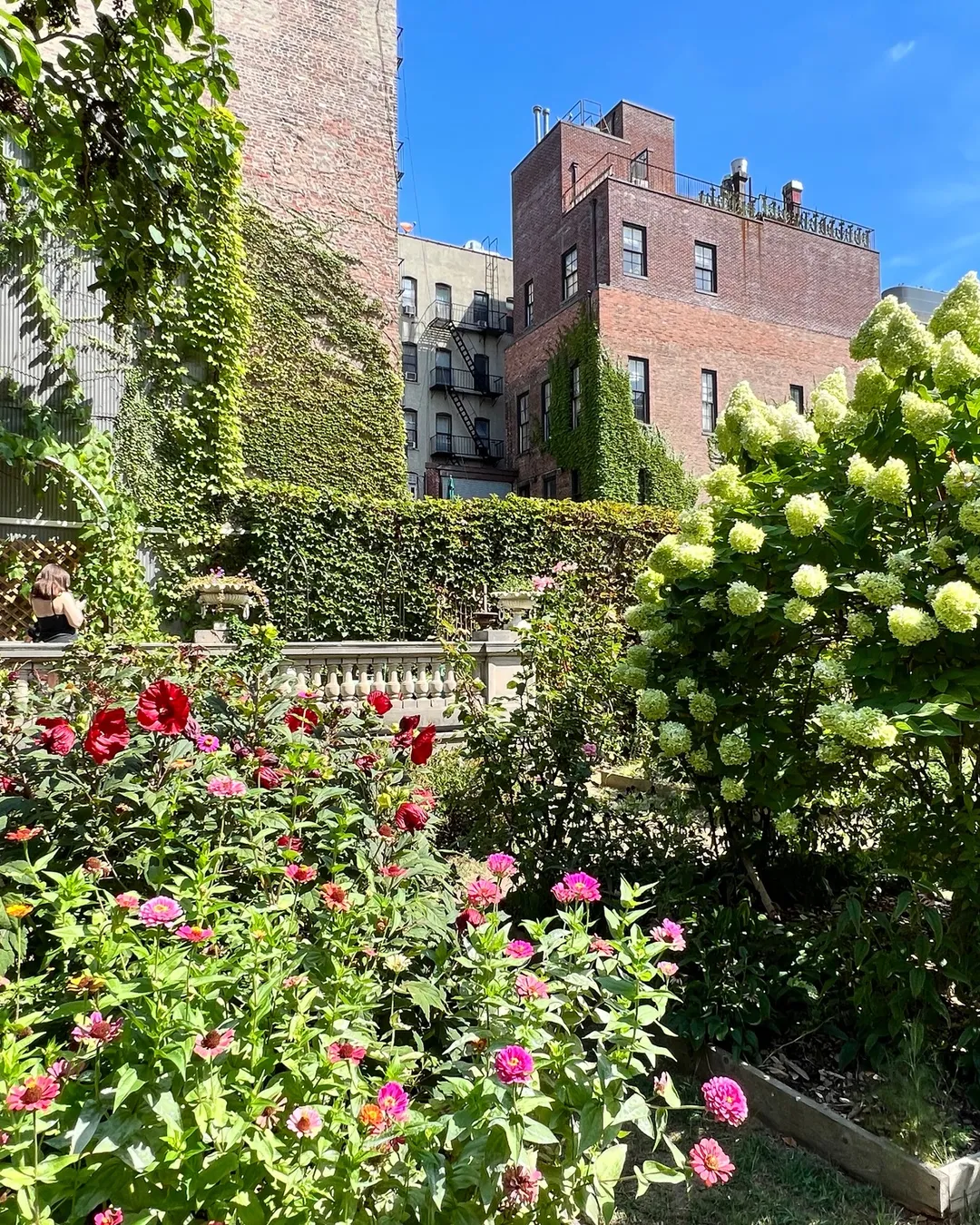 Elizabeth Street Garden