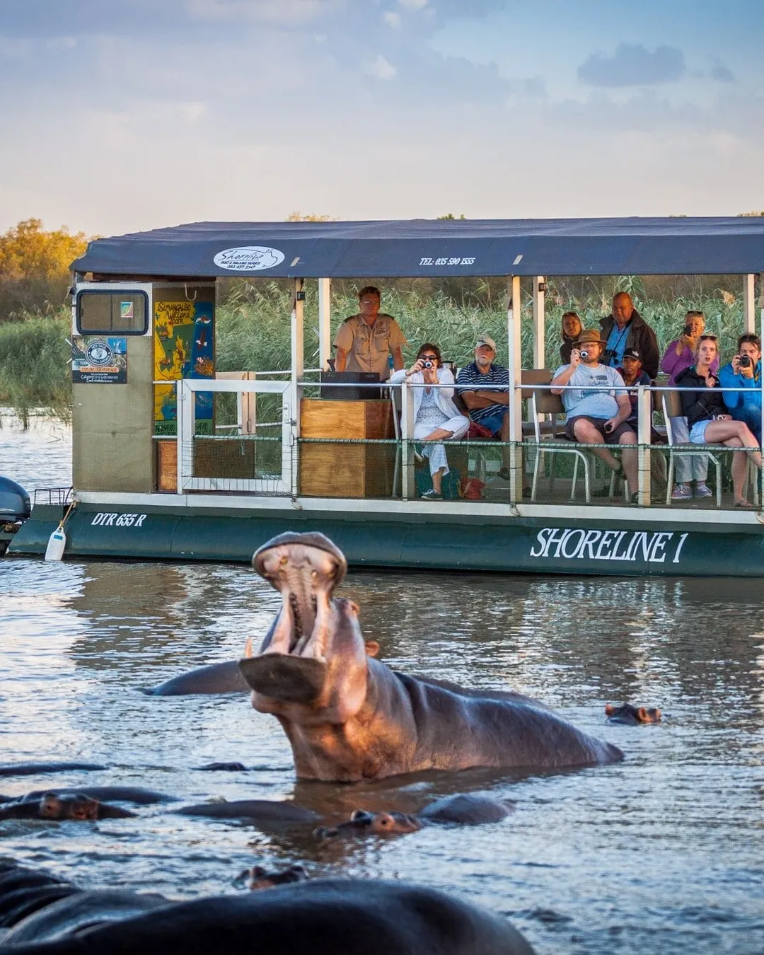 St Lucia Hippo and Croc Cruise