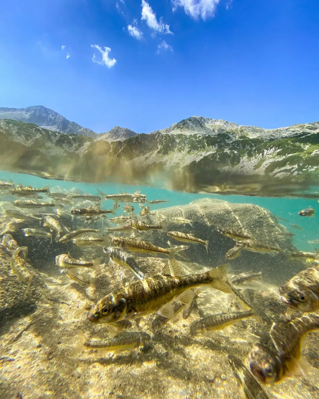 Ribno Banderishko Lake
