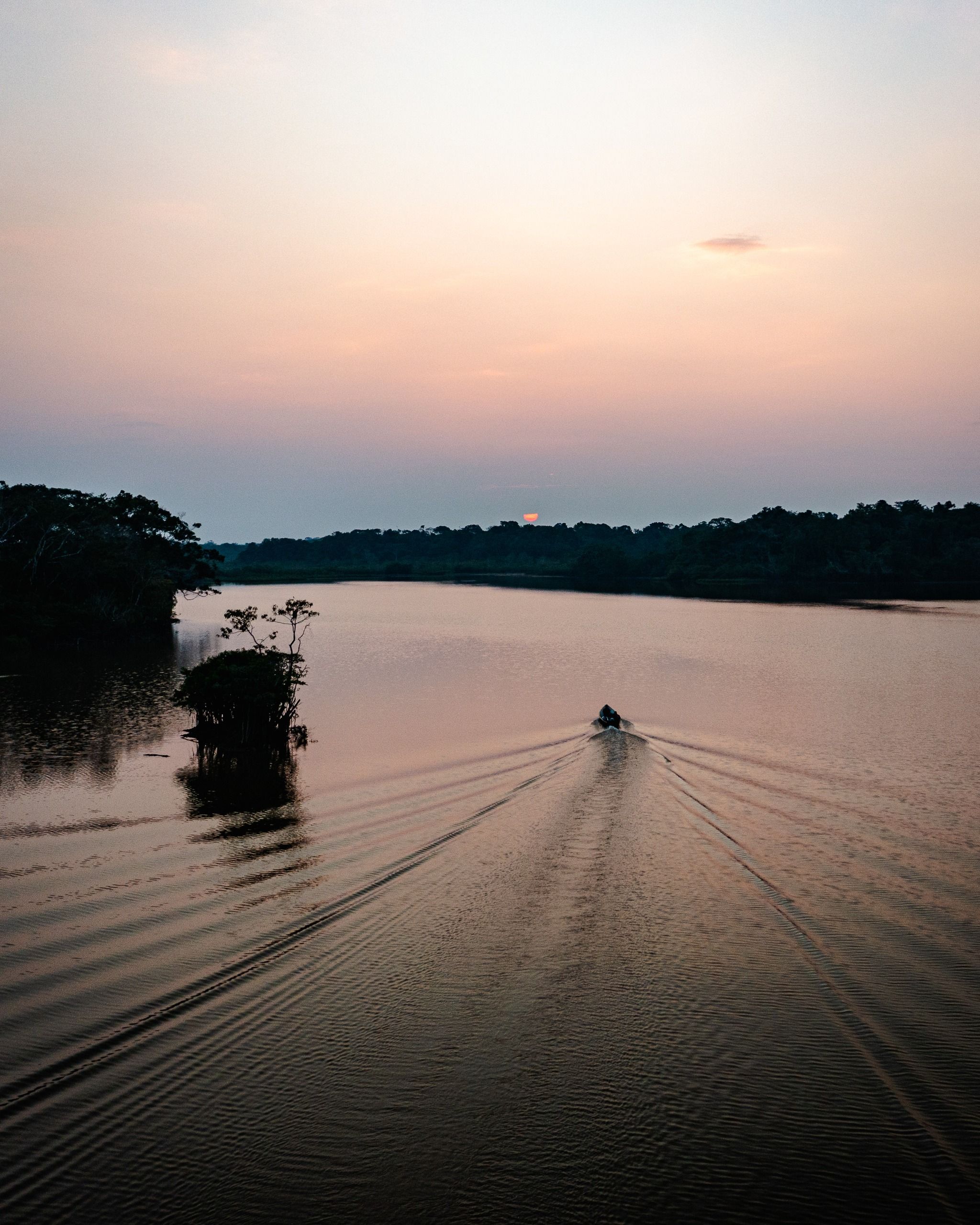 Yasuní National Park