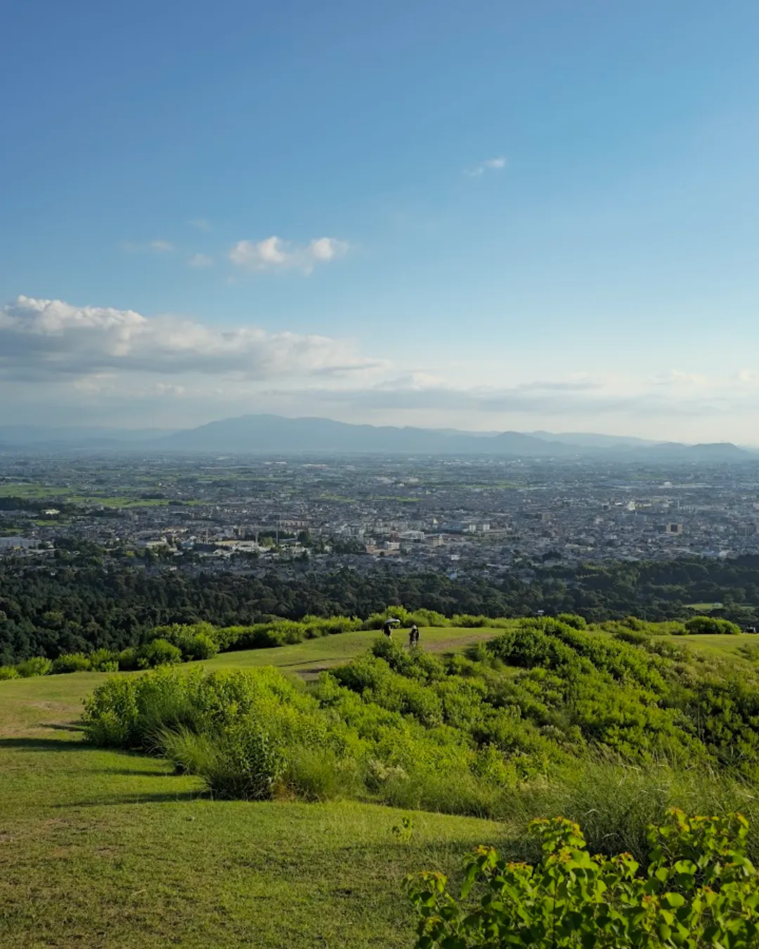 Mount Wakakusa